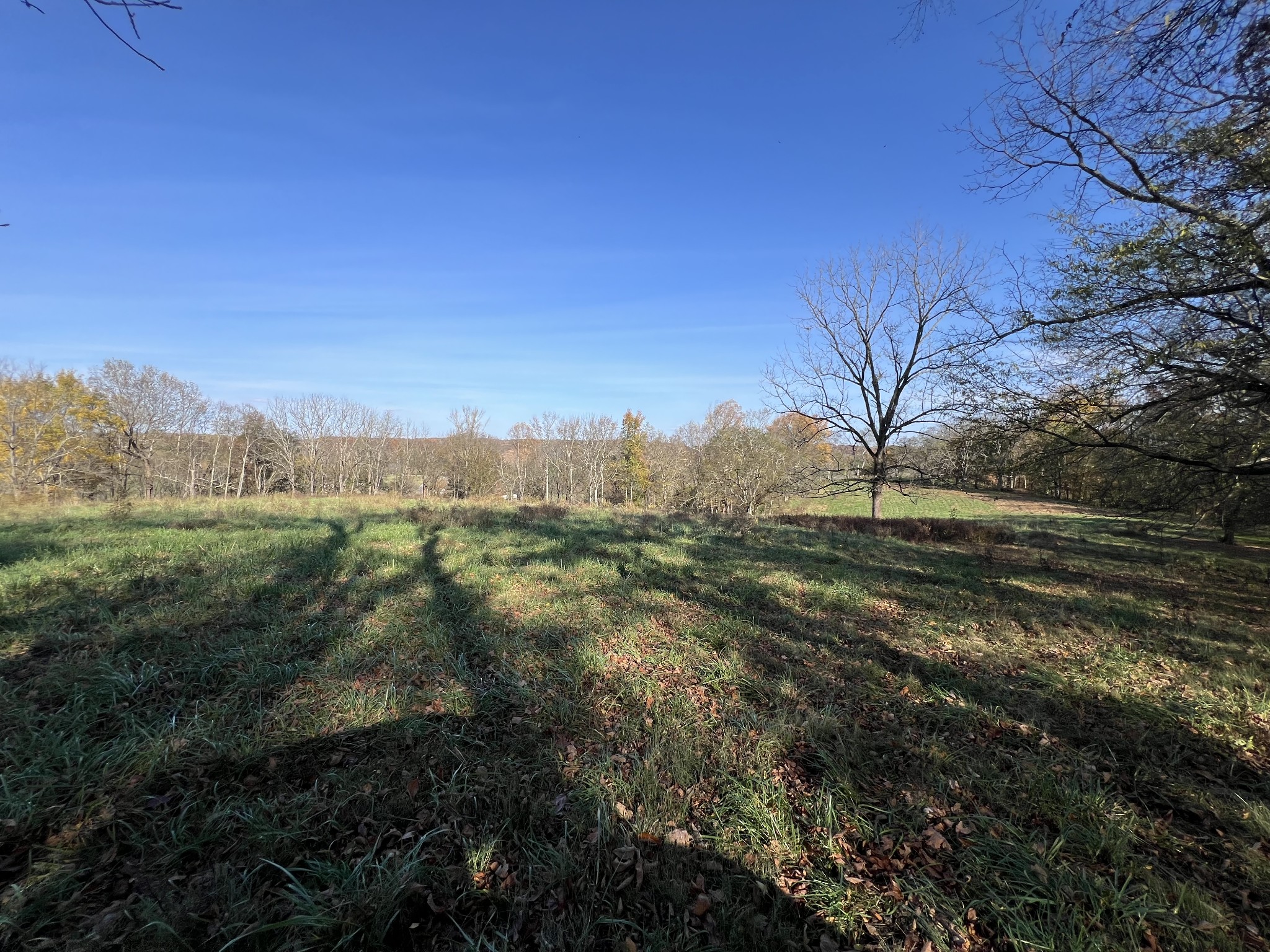 1 Weakley Creek Rd Property Photo 32