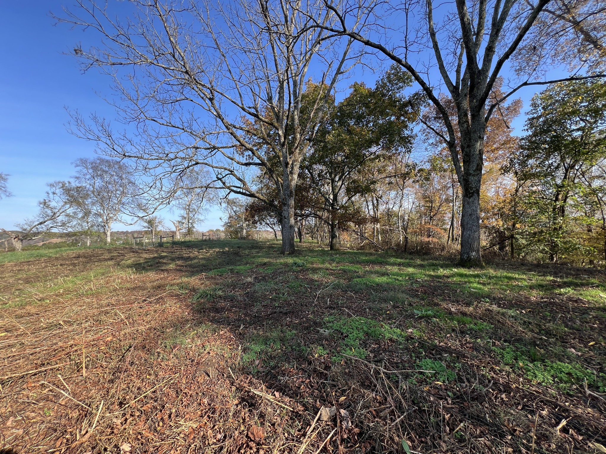 1 Weakley Creek Rd Property Photo 34