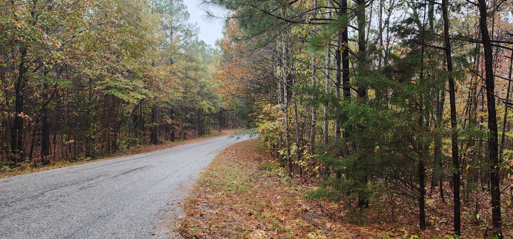 0 Williams Grove Rd Property Photo 3