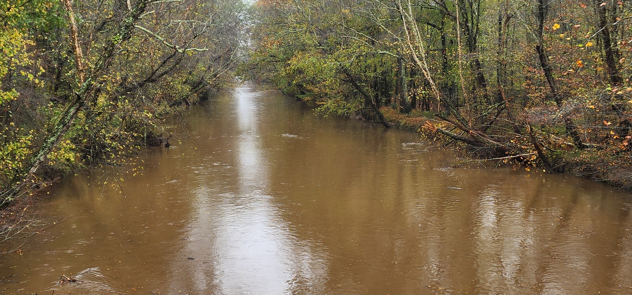 0 Williams Grove Rd Property Photo 13
