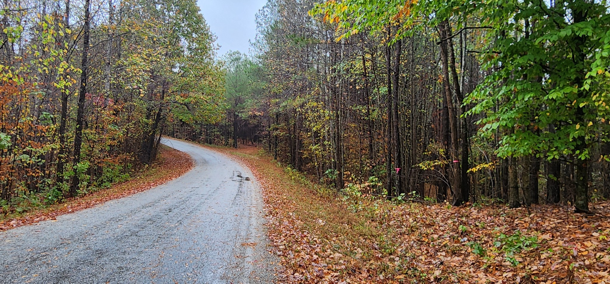 0 Williams Grove Rd Property Photo 4