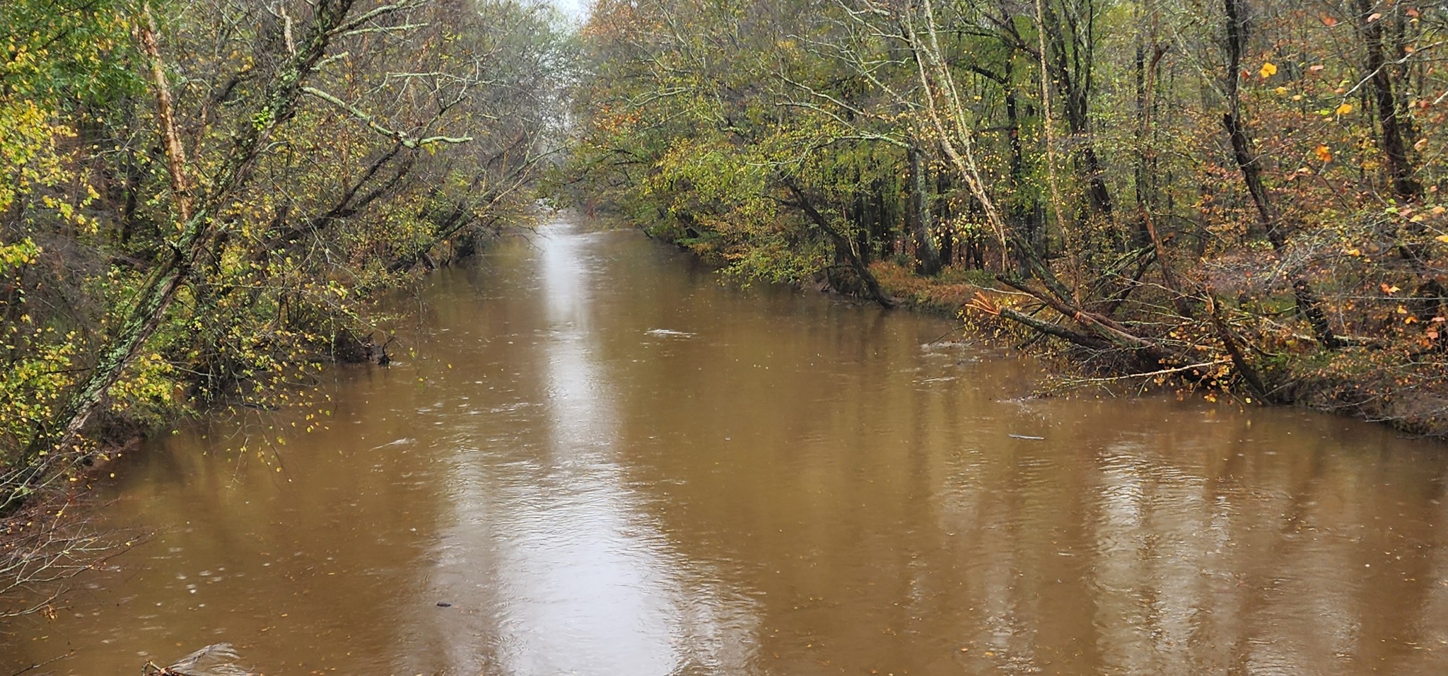 0 Williams Grove Rd Property Photo 23