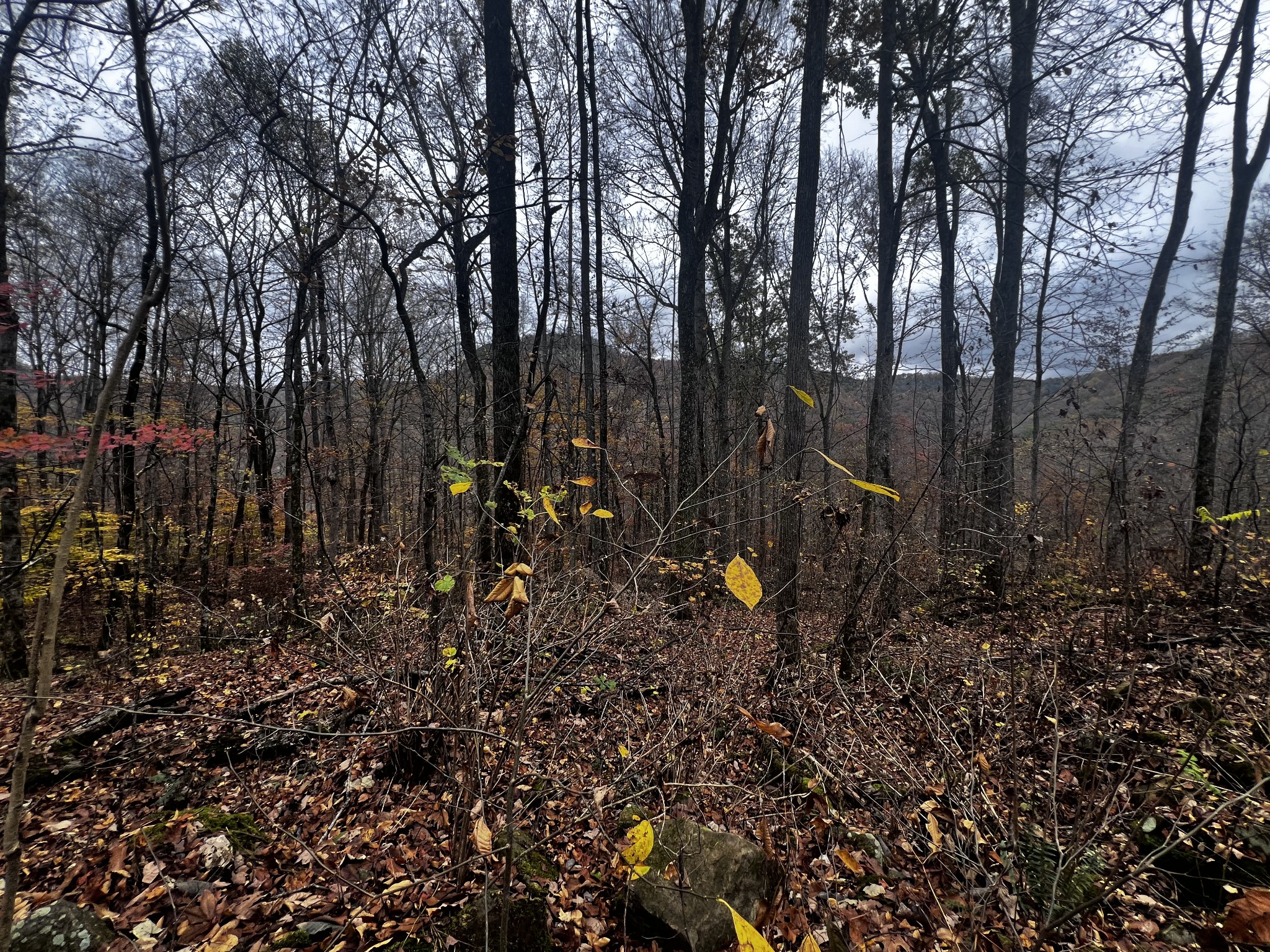 0 Apache Rd Property Photo 6