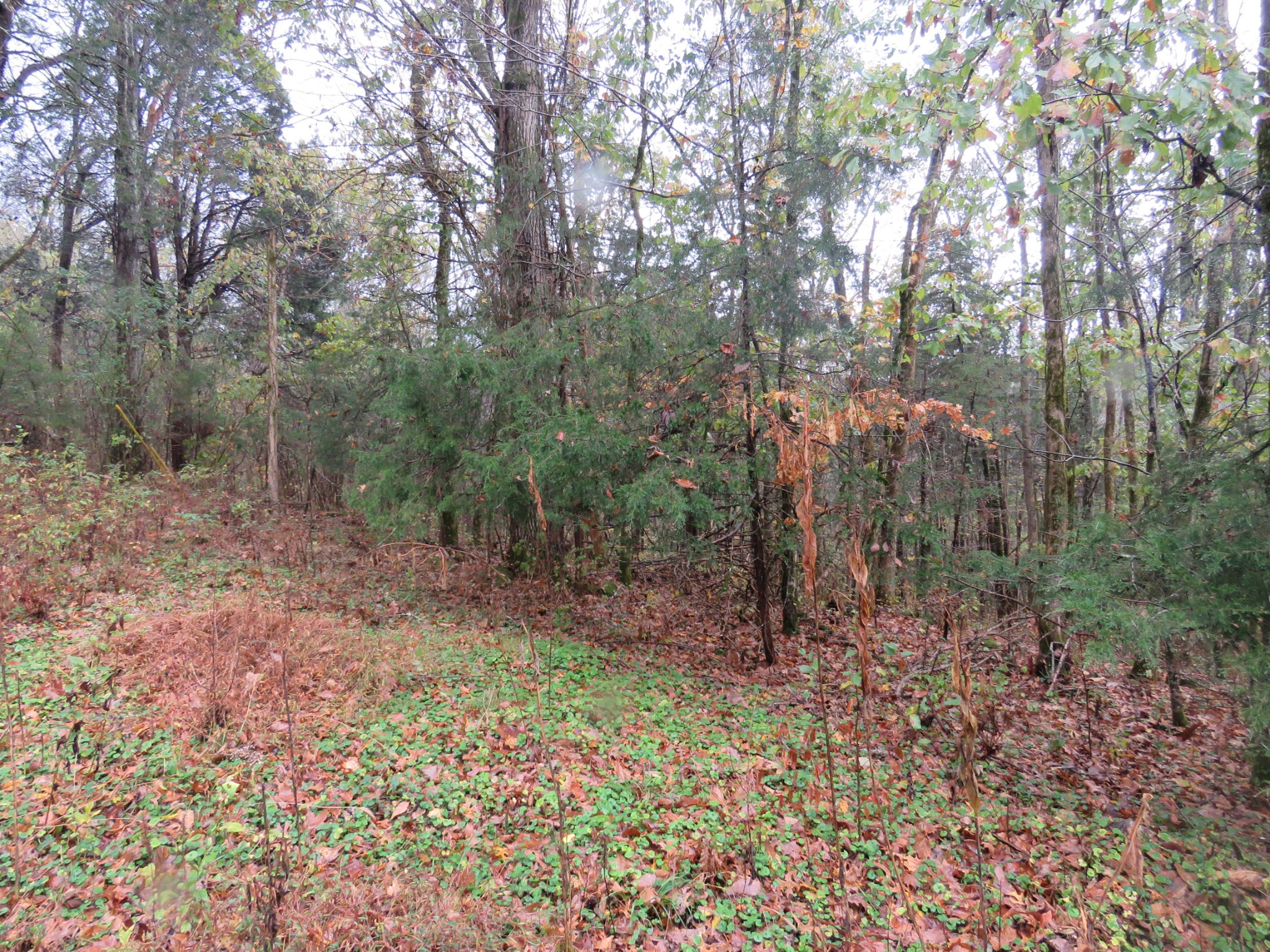 0 Hilltop Lane Property Photo 2