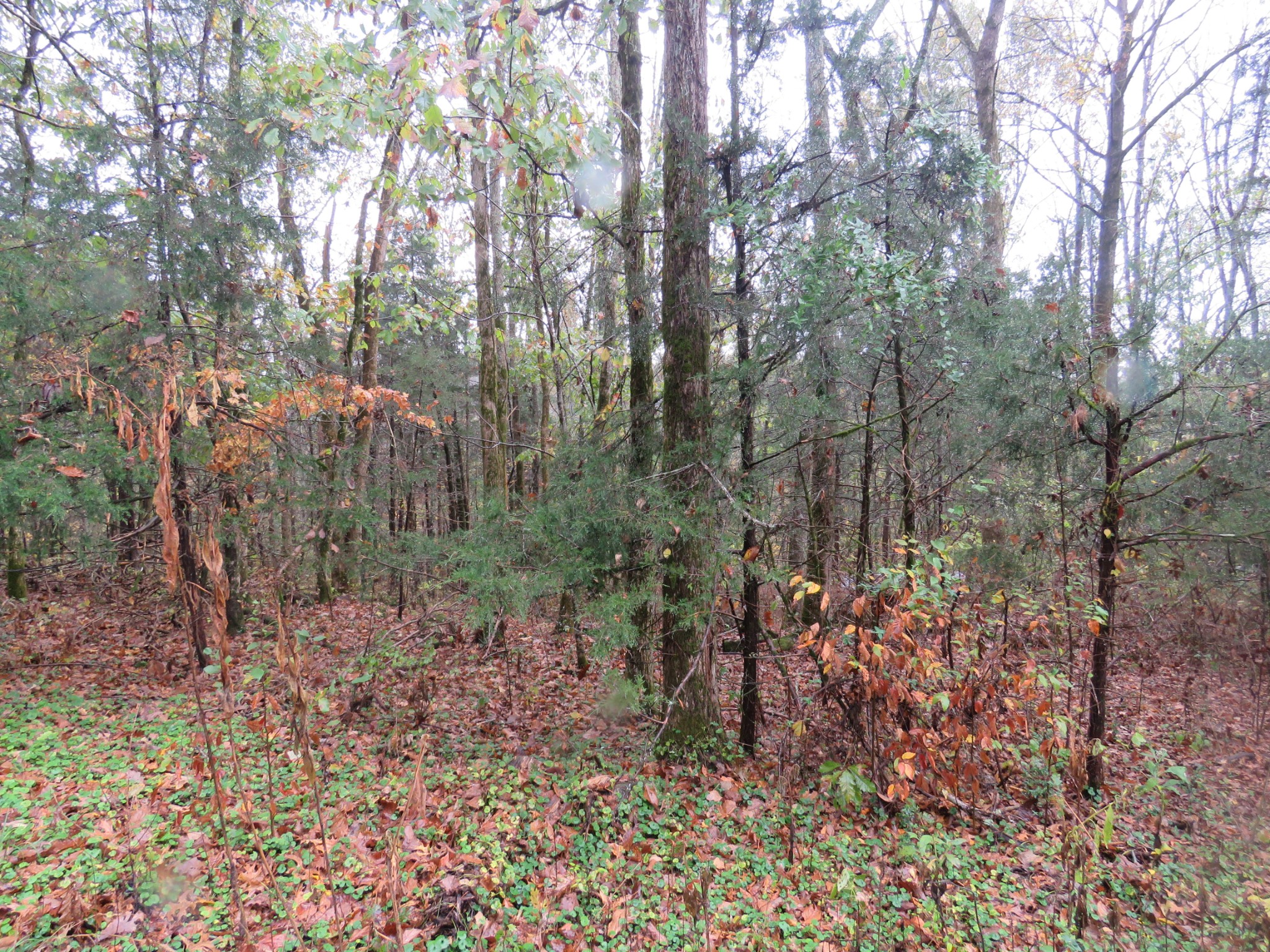0 Hilltop Lane Property Photo 3