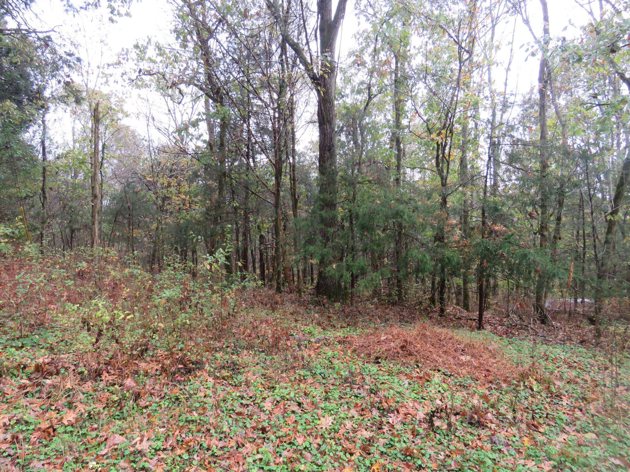 0 Hilltop Lane Property Photo 4