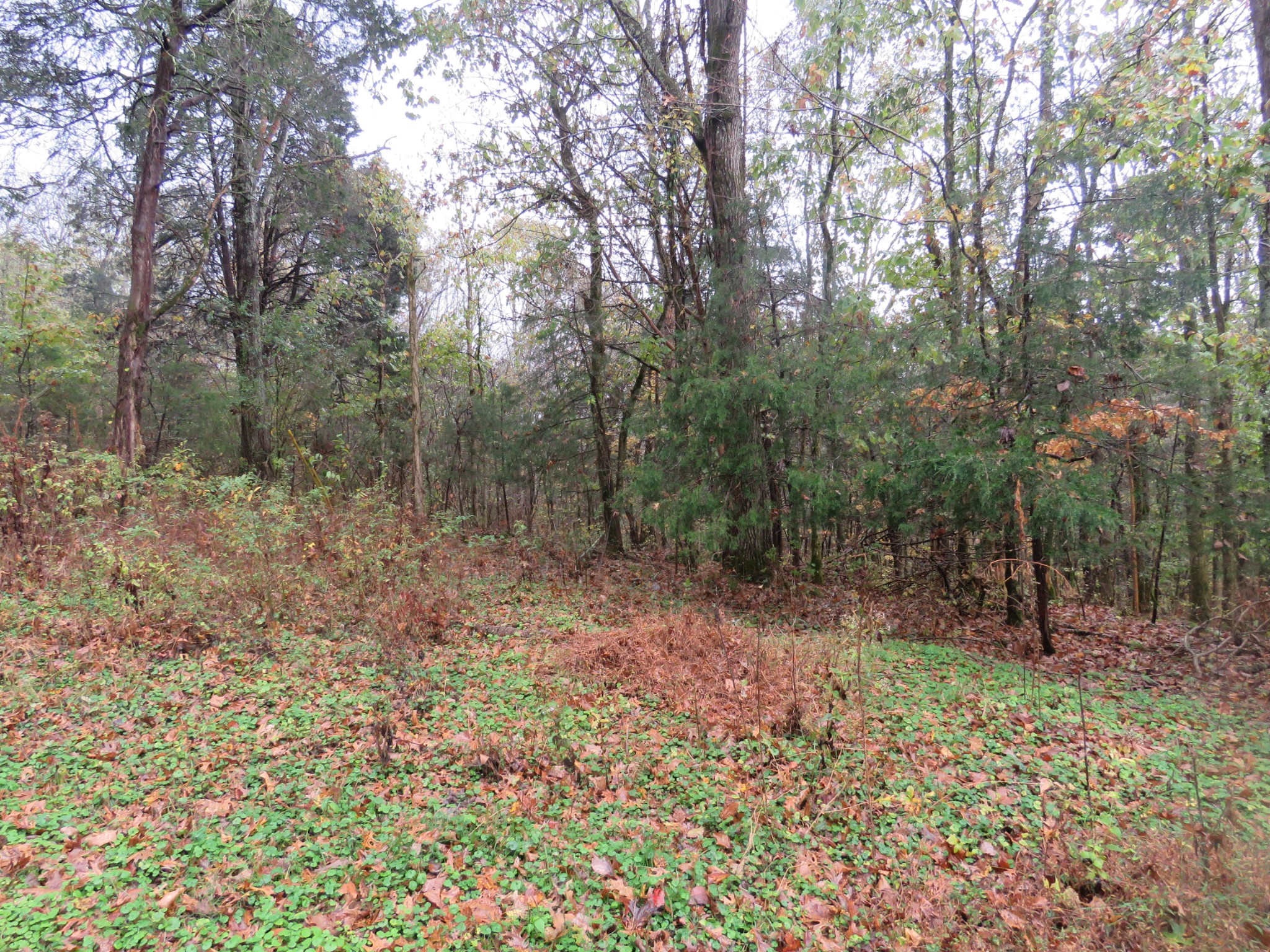 0 Hilltop Lane Property Photo 5