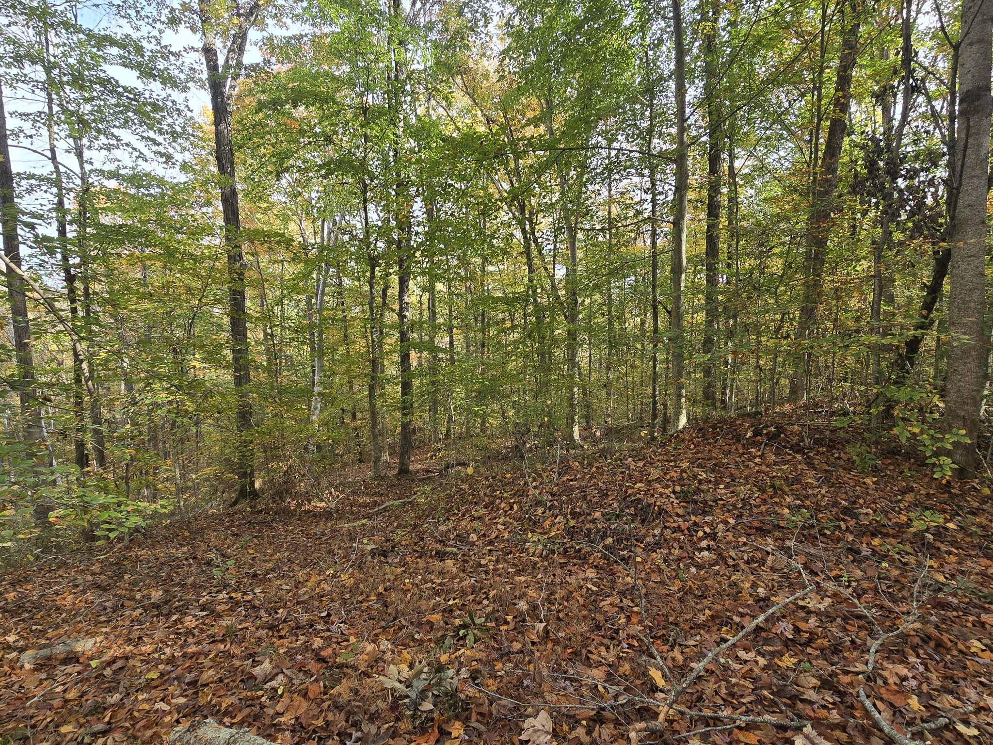 0 Arch Hillis Cemetery Rd Property Photo 4
