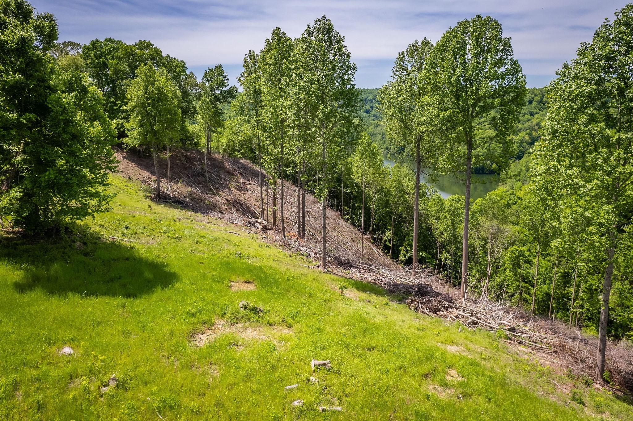 27 Opal Pt Property Photo 10