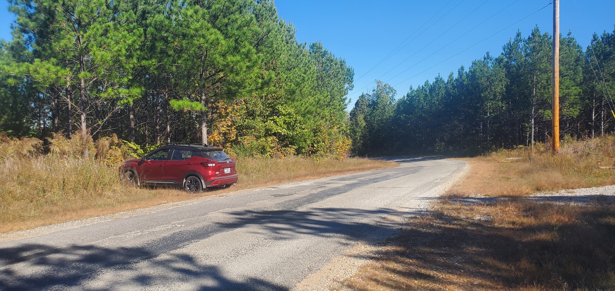 3957 Old Hohenwald Rd Property Photo 2