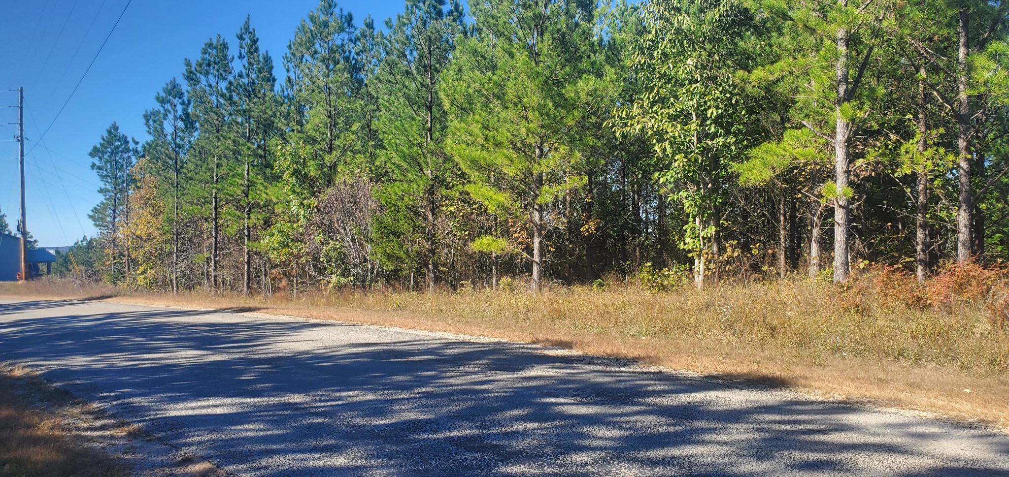 3957 Old Hohenwald Rd Property Photo 3