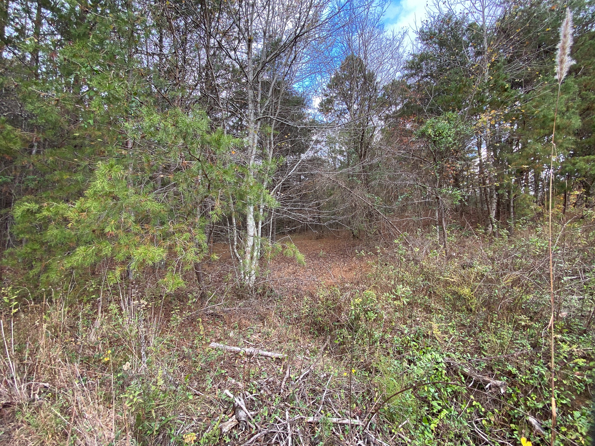 0 Caldwell Rd Property Photo 7