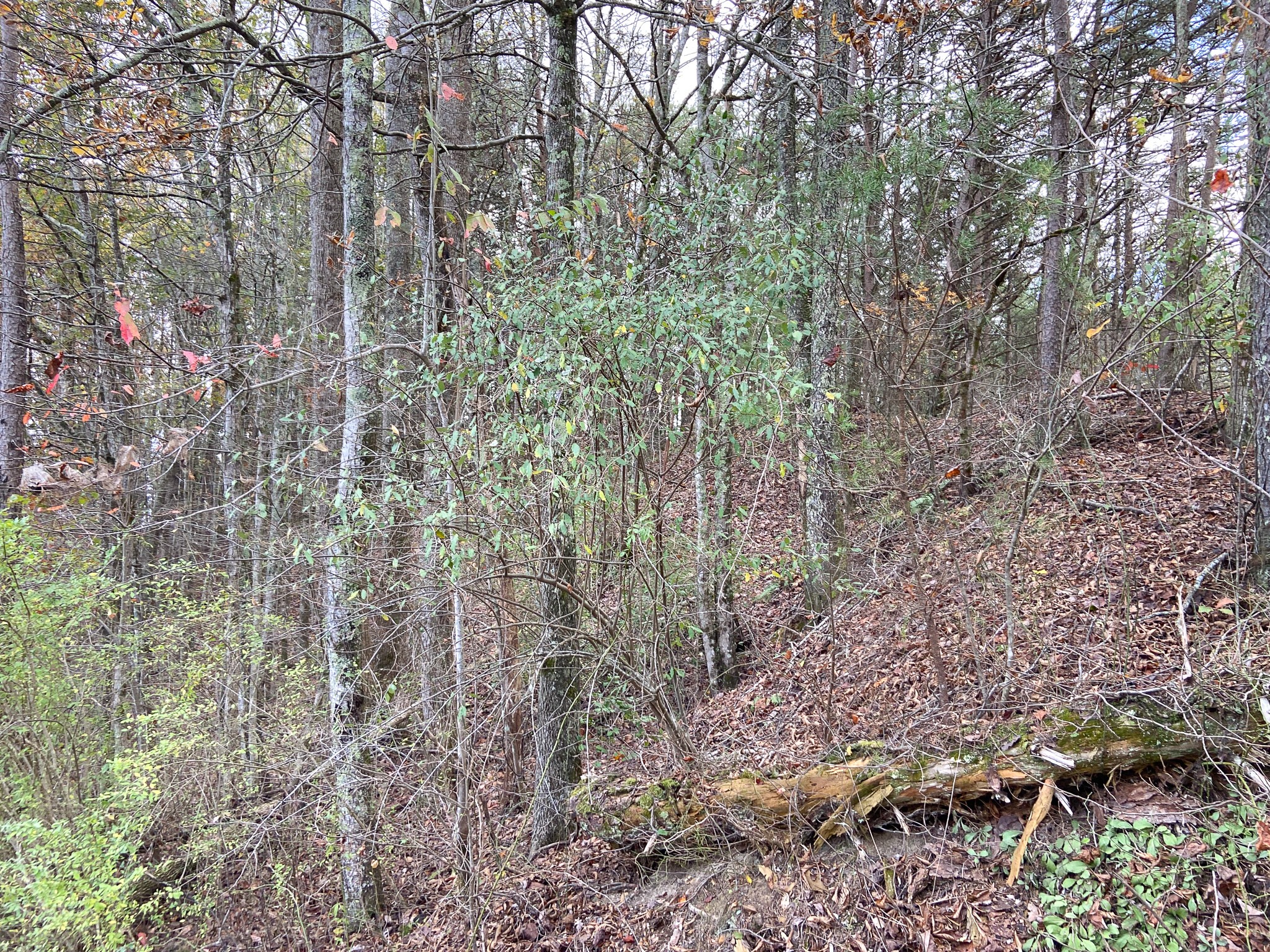 0 Caldwell Rd Property Photo 10