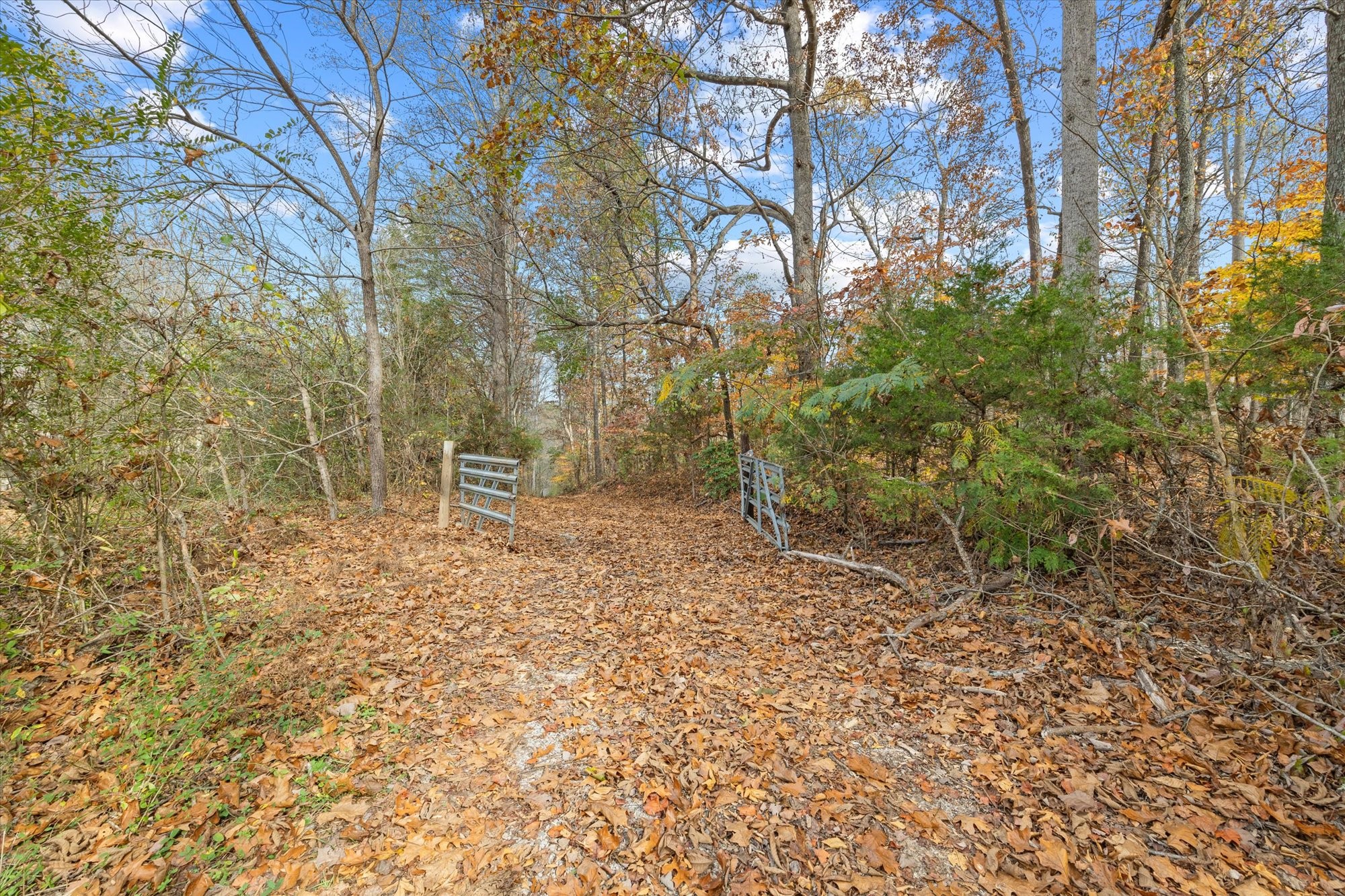 261 Farley Rd Property Photo 10