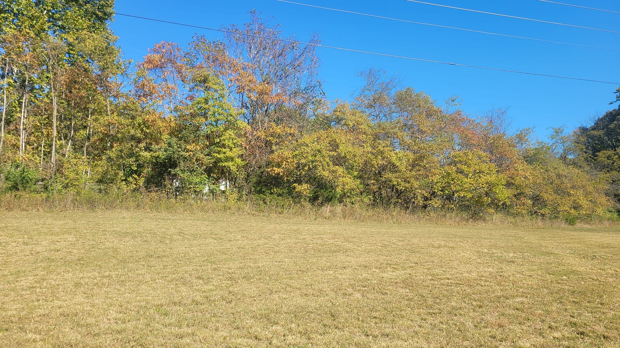 1 Flat Creek Rd Property Photo 3