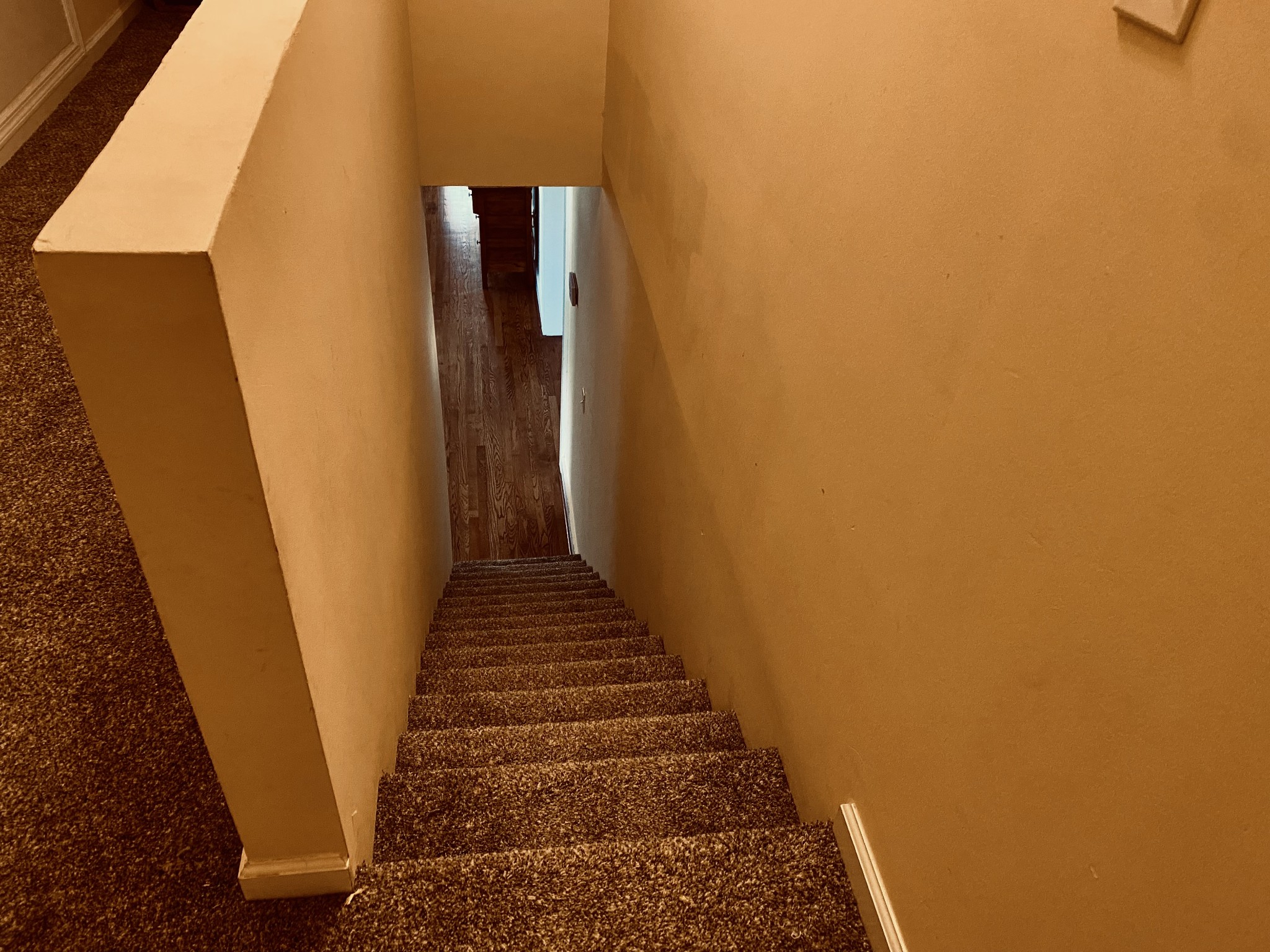 107 Lind St Property Photo 19