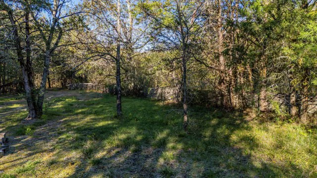 0 Halls Hill Pike Property Photo 2
