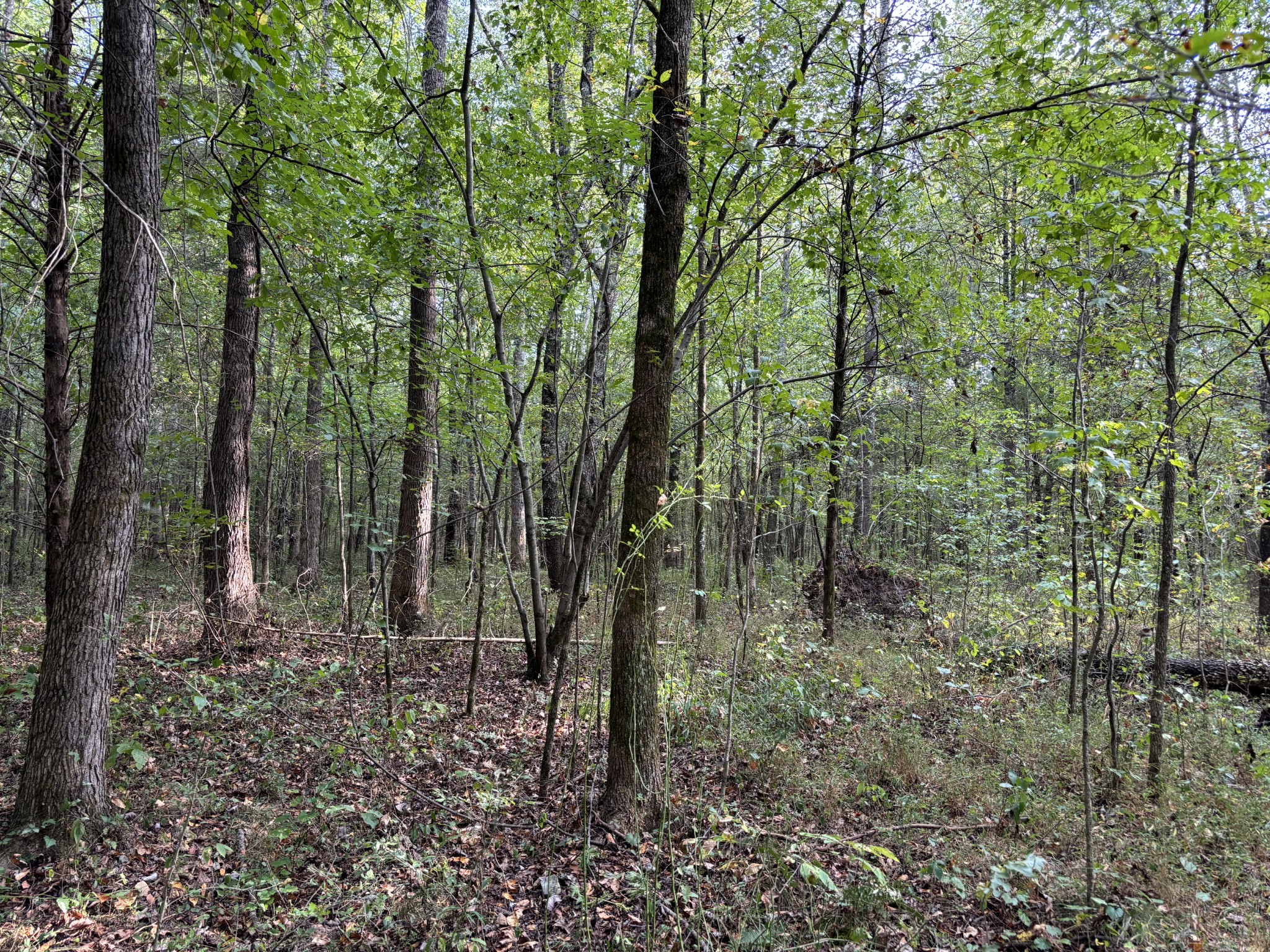 0 Birdsong Road Property Photo 23