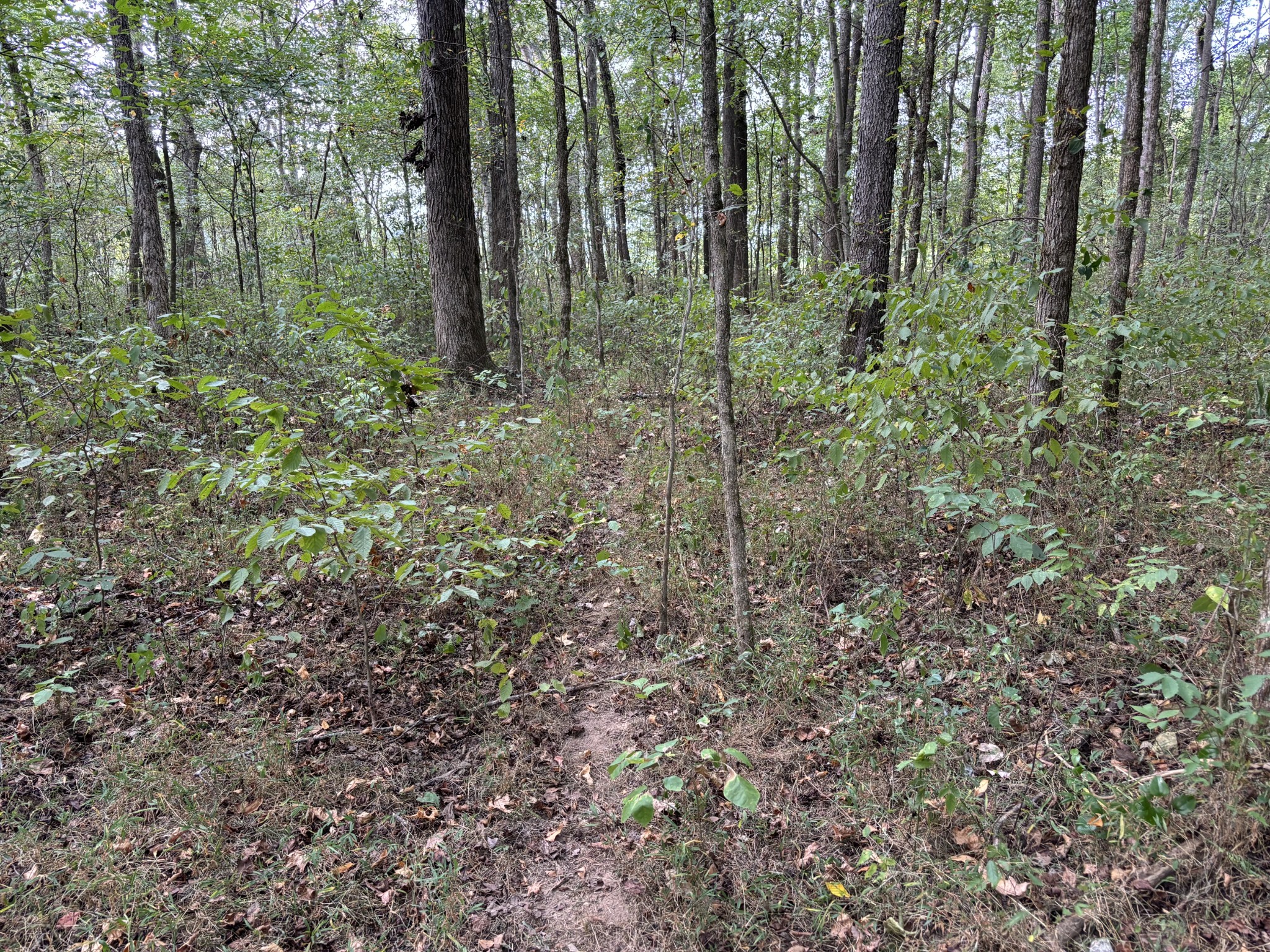 0 Birdsong Road Property Photo 24