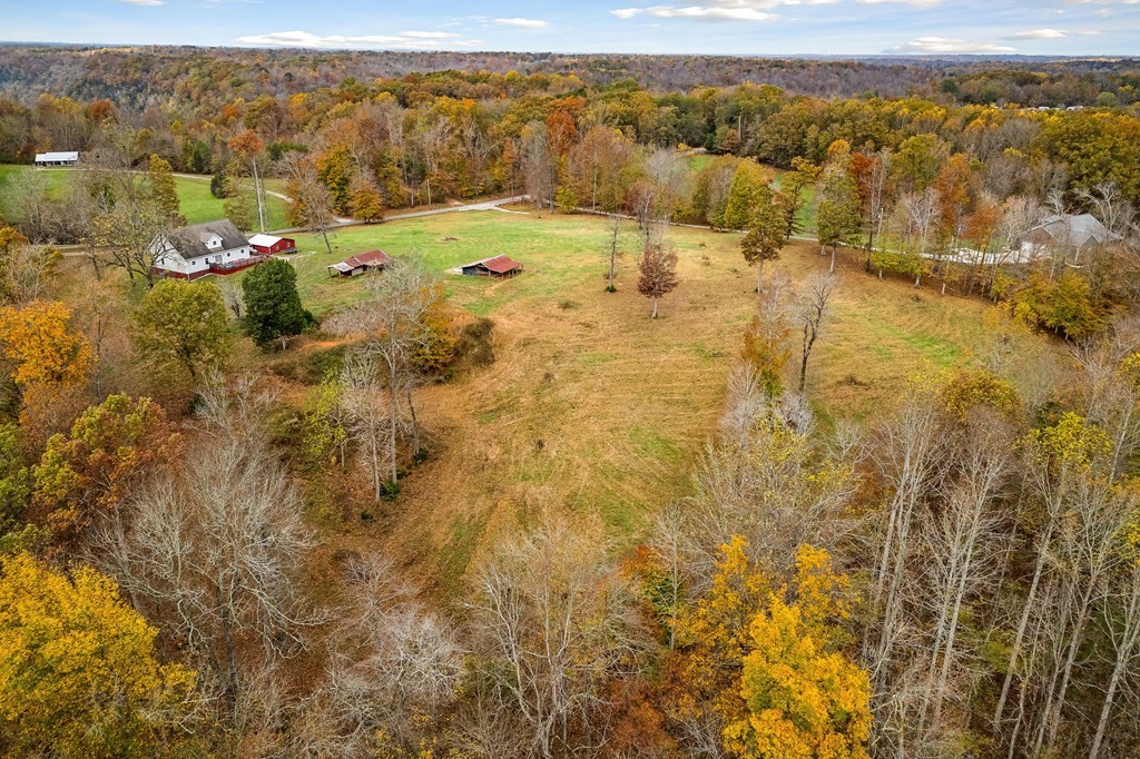 0 Creed Wright Road Property Photo 11
