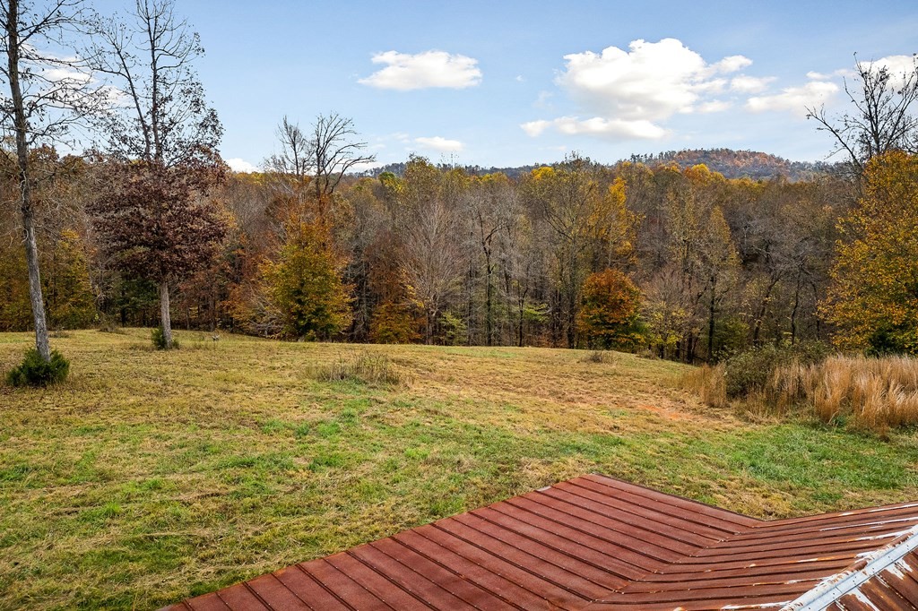 0 Creed Wright Road Property Photo 15