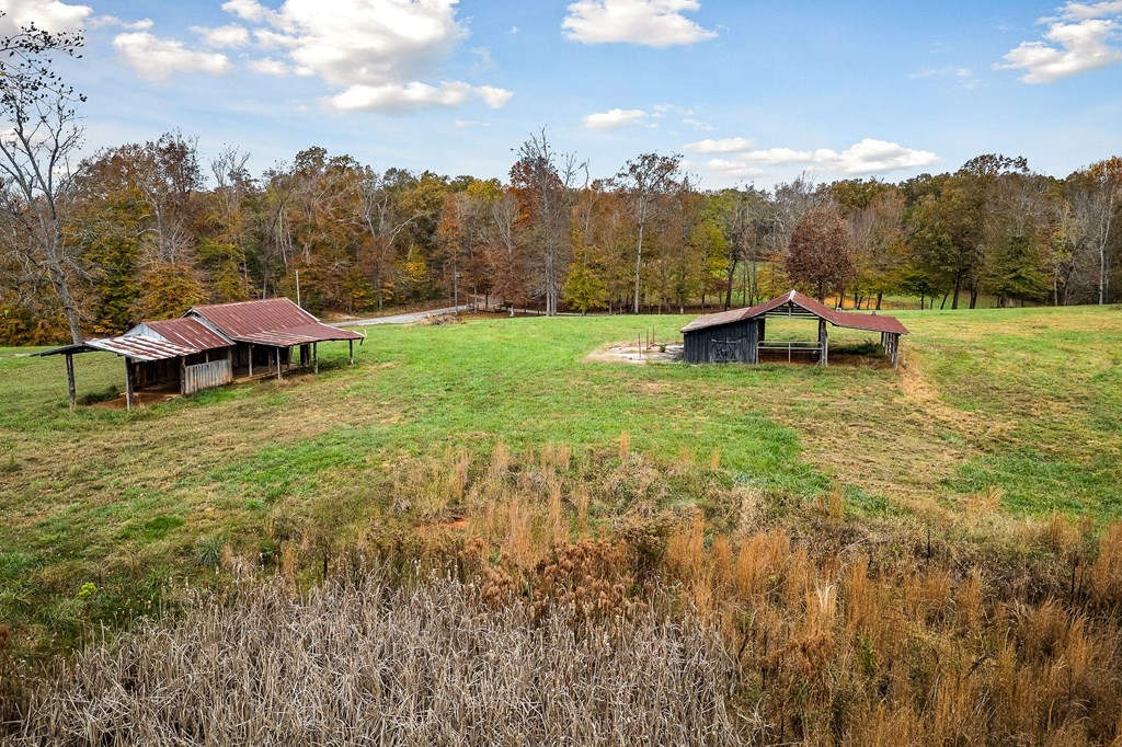0 Creed Wright Road Property Photo 16