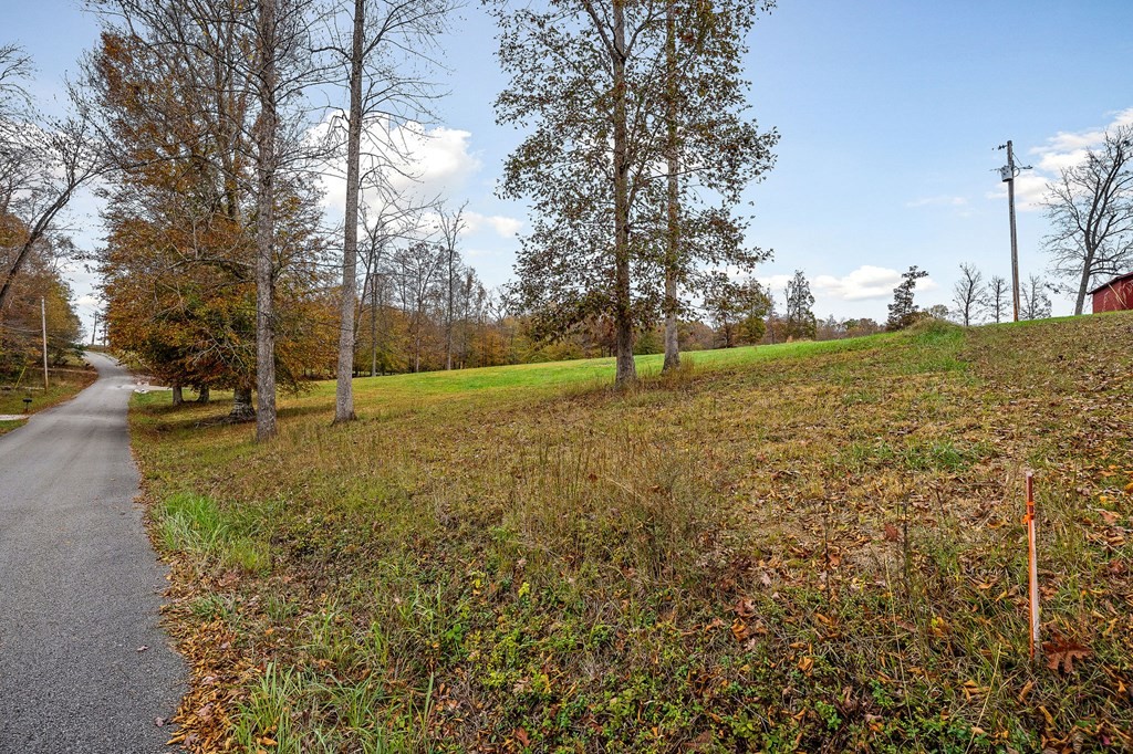 0 Creed Wright Road Property Photo 17