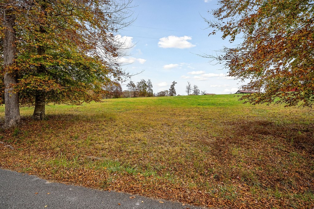 0 Creed Wright Road Property Photo 18