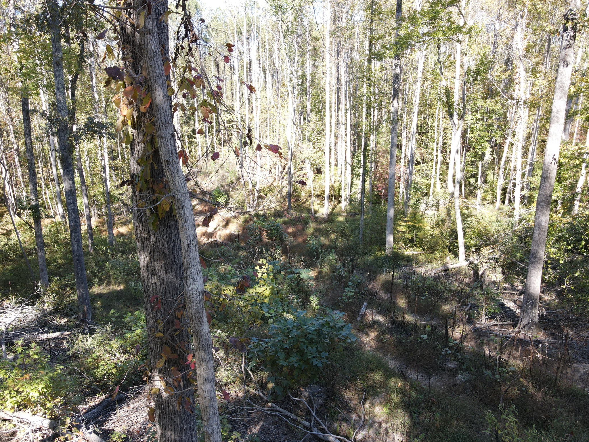 0 Copper Spring Road Property Photo 6