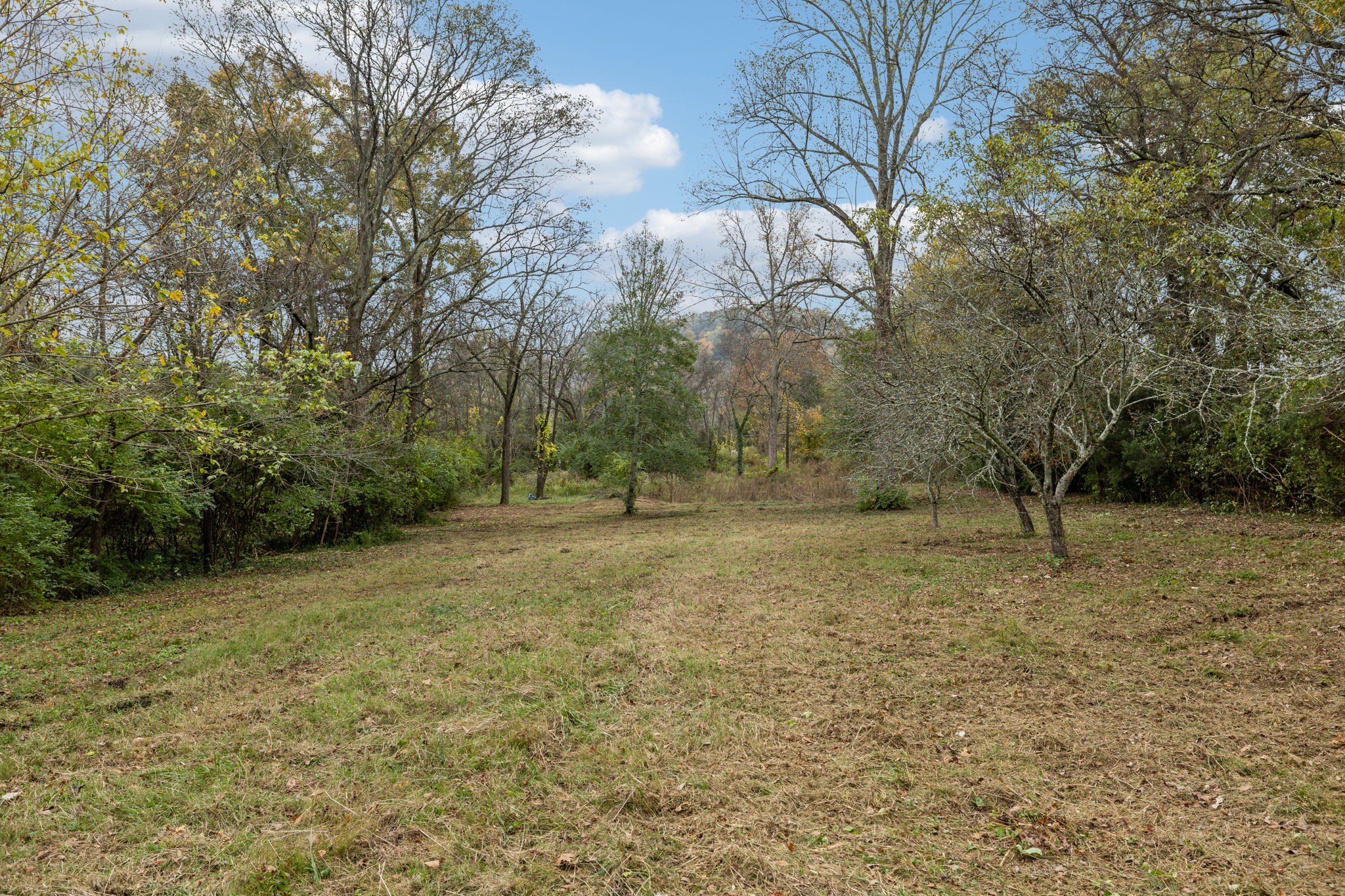 1917 Old Hickory Blvd Property Photo 13