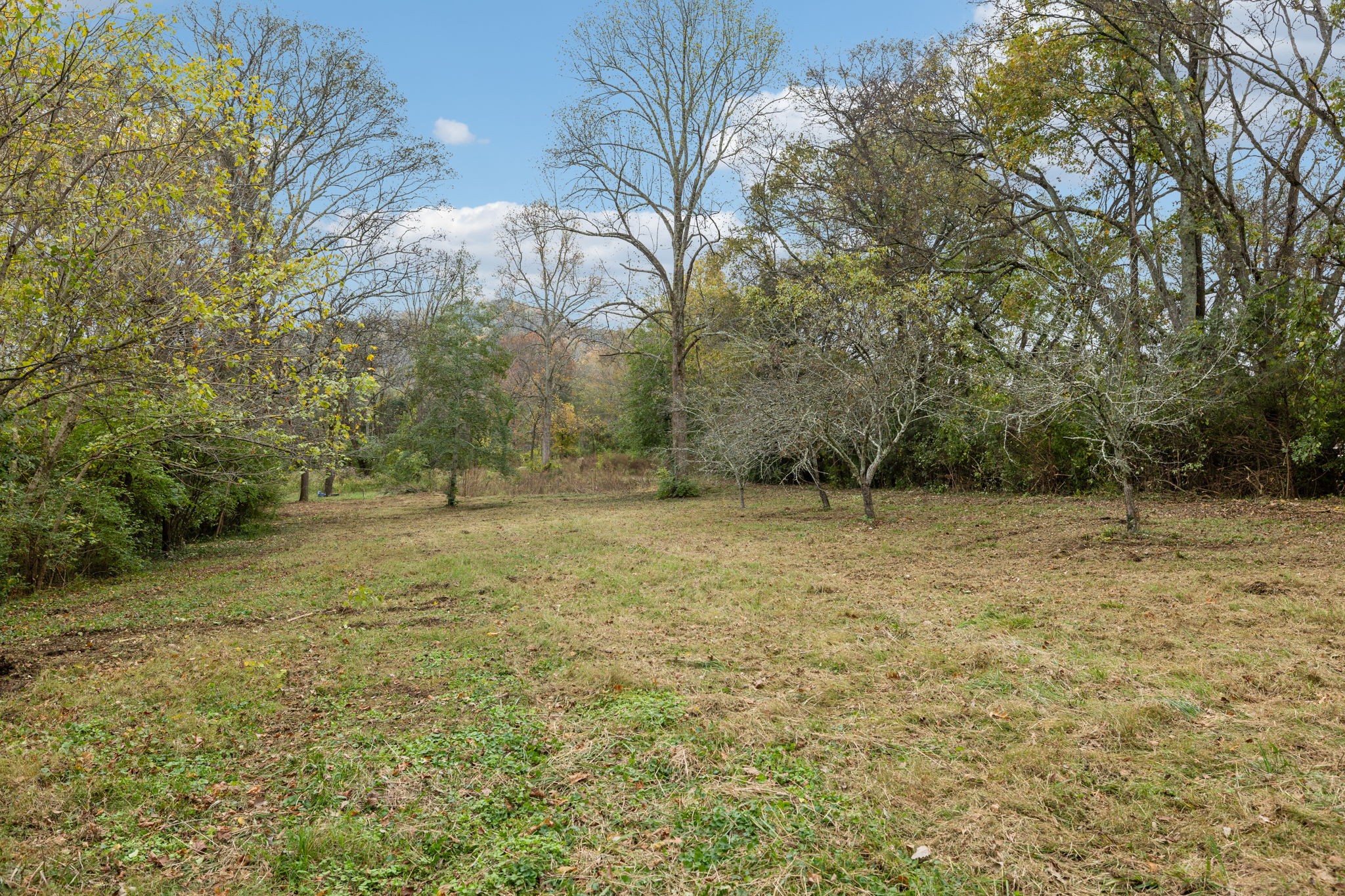 1917 Old Hickory Blvd Property Photo 14