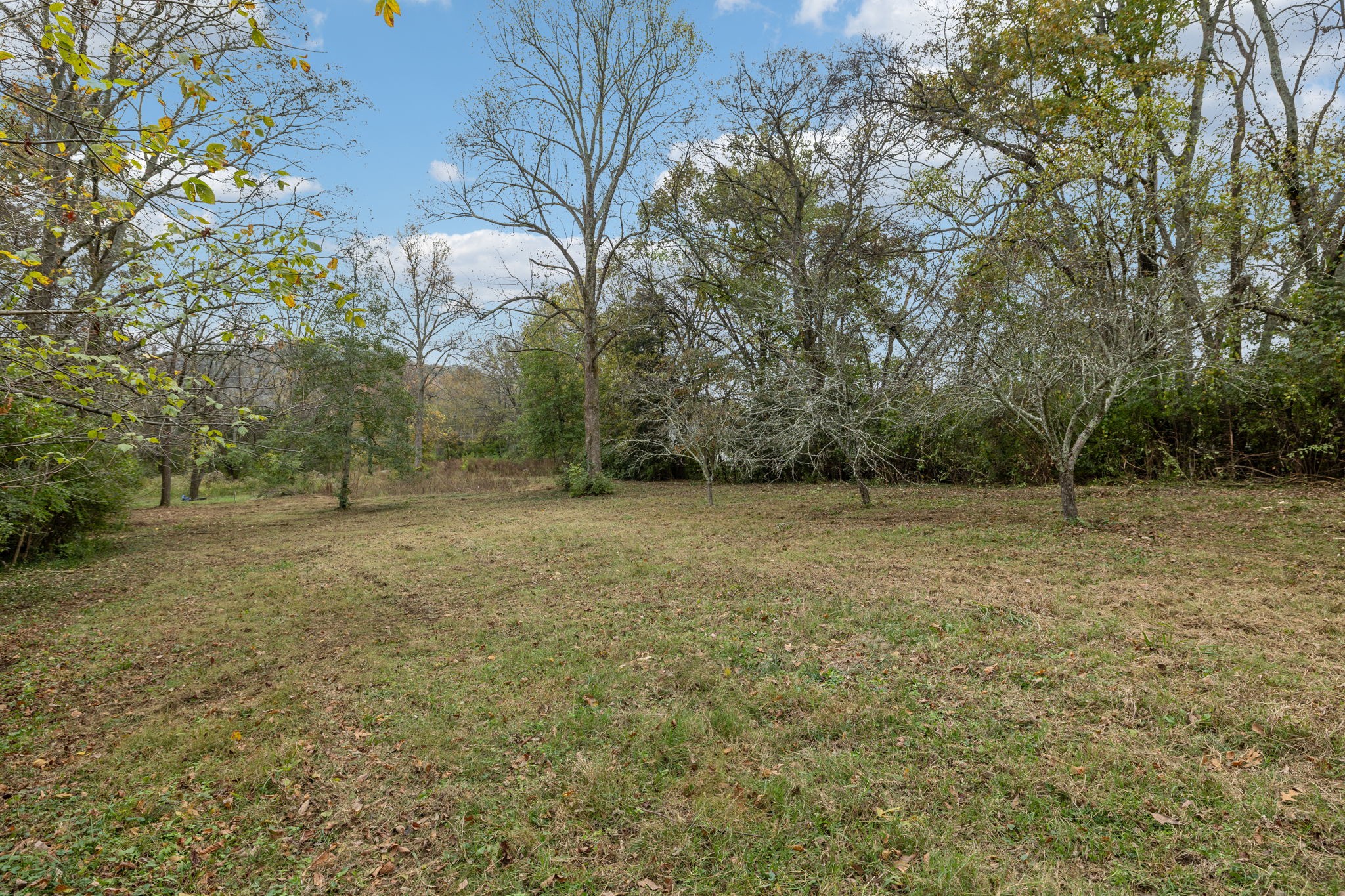 1917 Old Hickory Blvd Property Photo 15