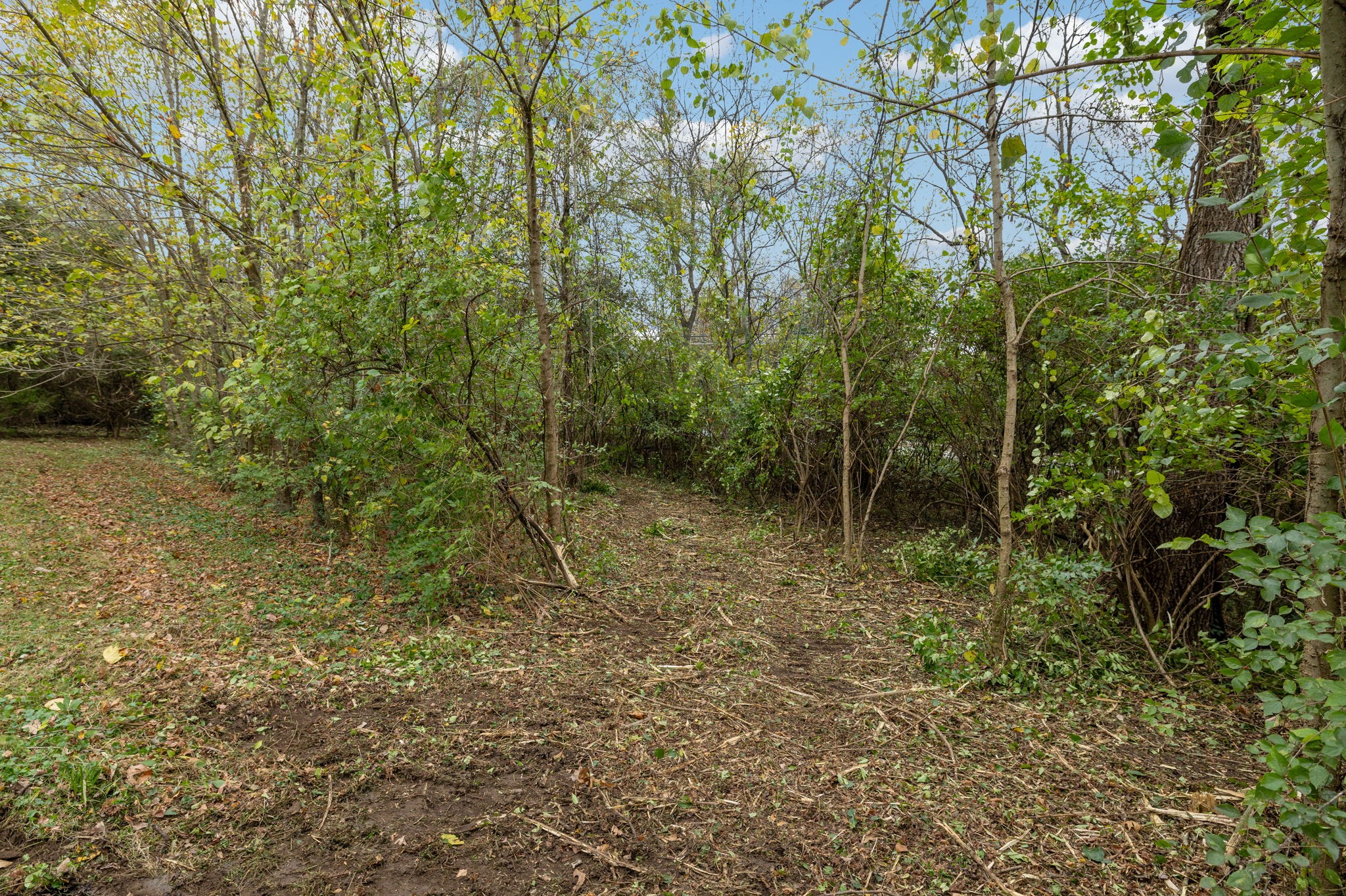 1917 Old Hickory Blvd Property Photo 16