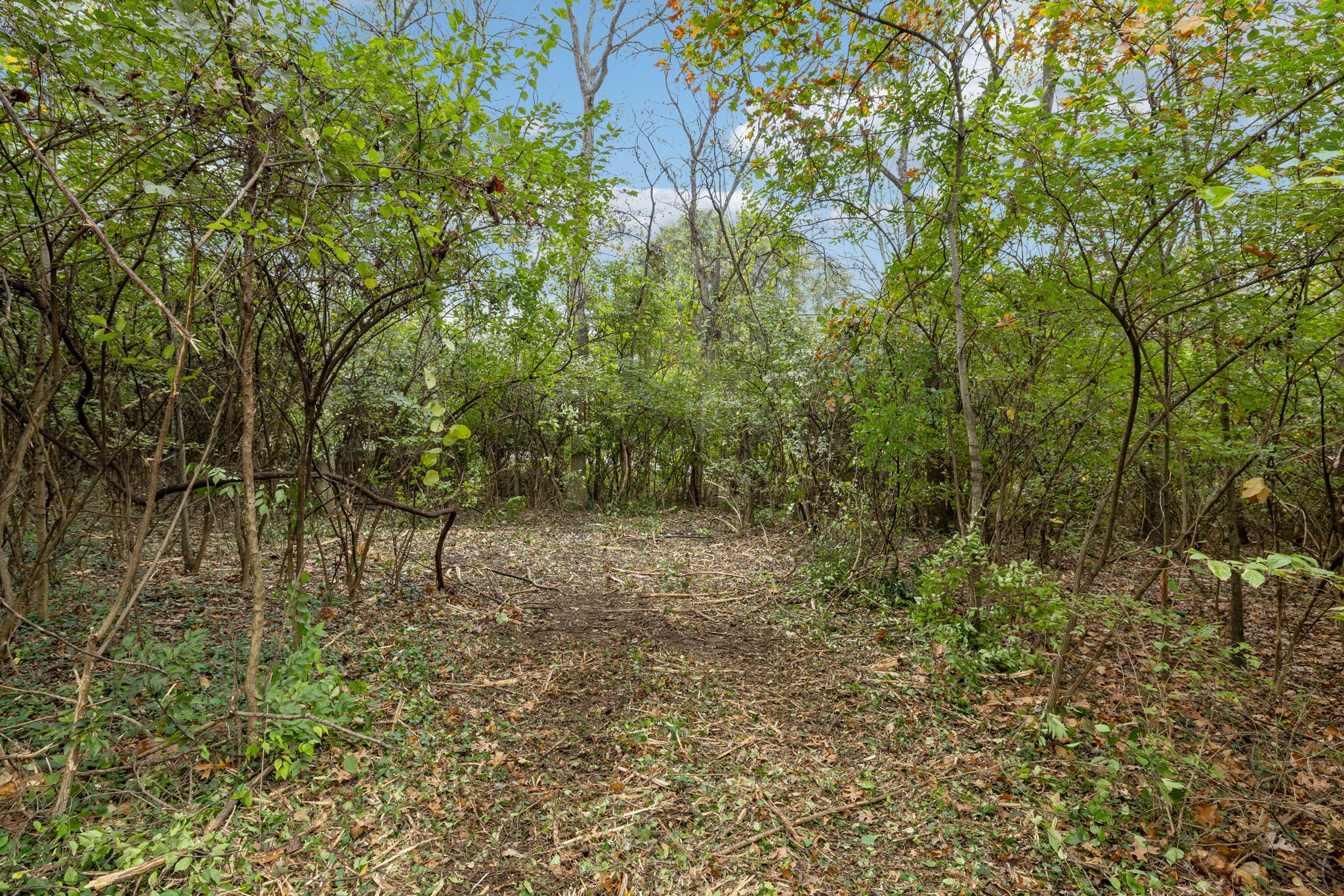 1917 Old Hickory Blvd Property Photo 17