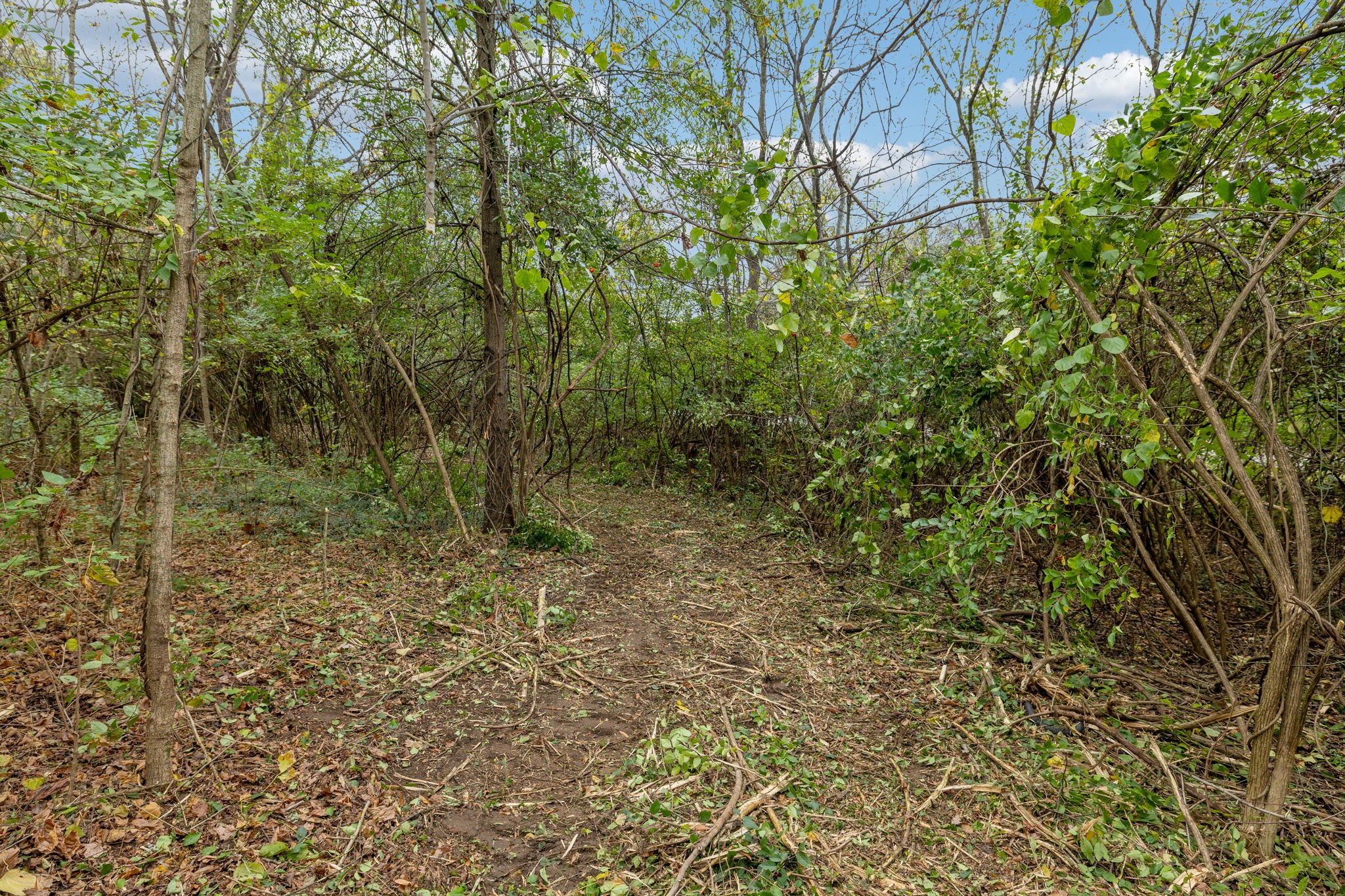 1917 Old Hickory Blvd Property Photo 18