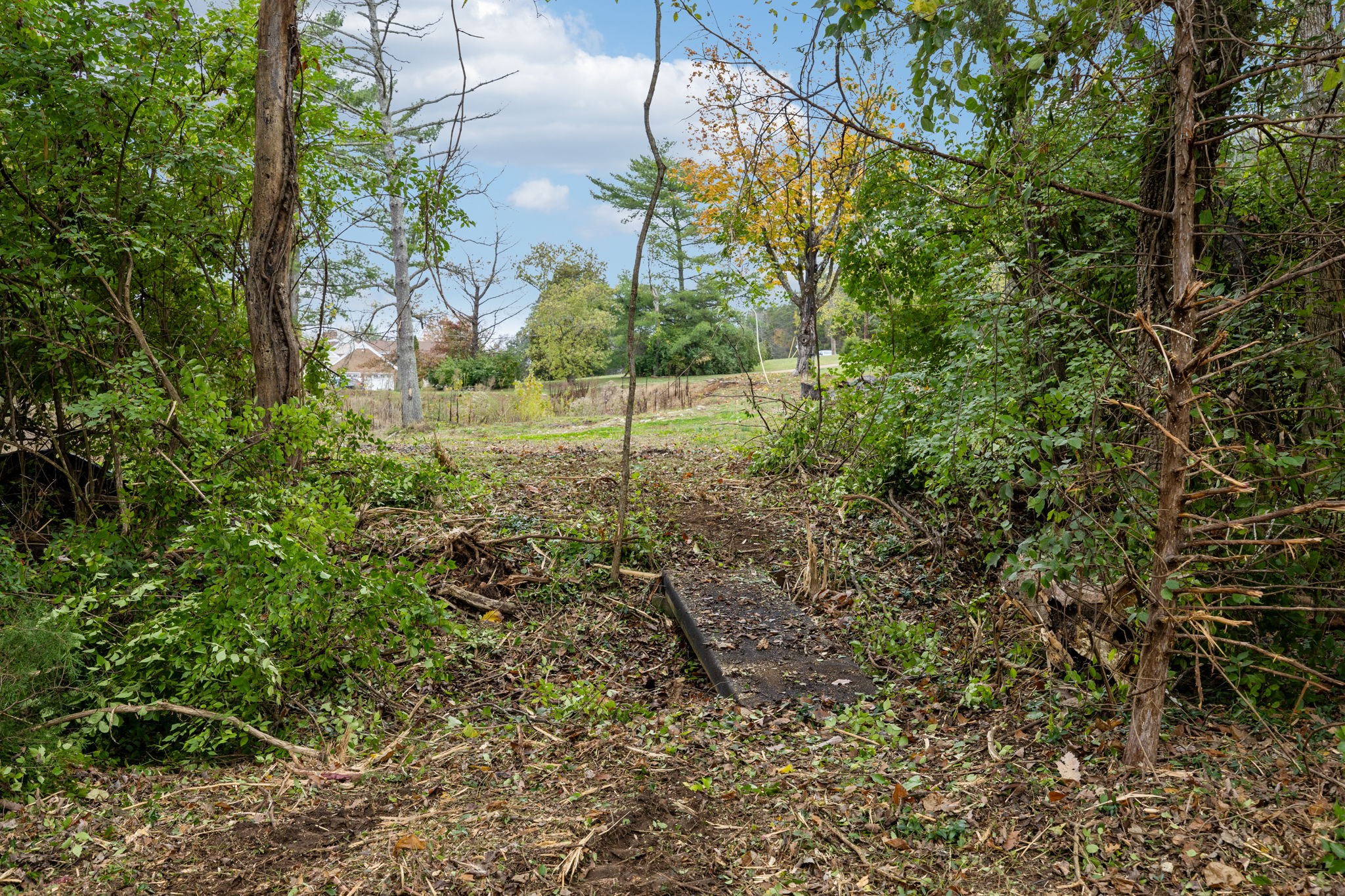 1917 Old Hickory Blvd Property Photo 21