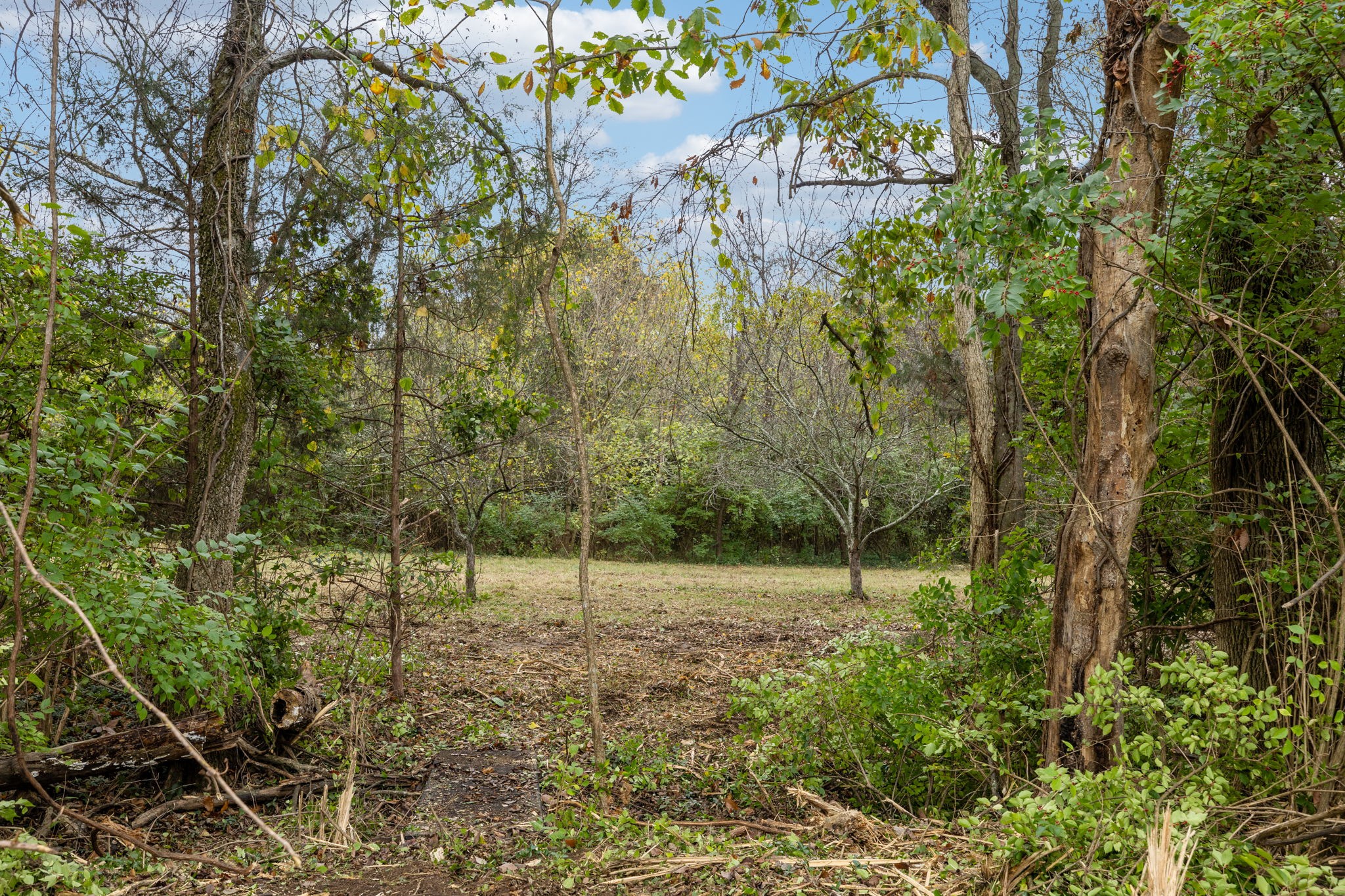 1917 Old Hickory Blvd Property Photo 22