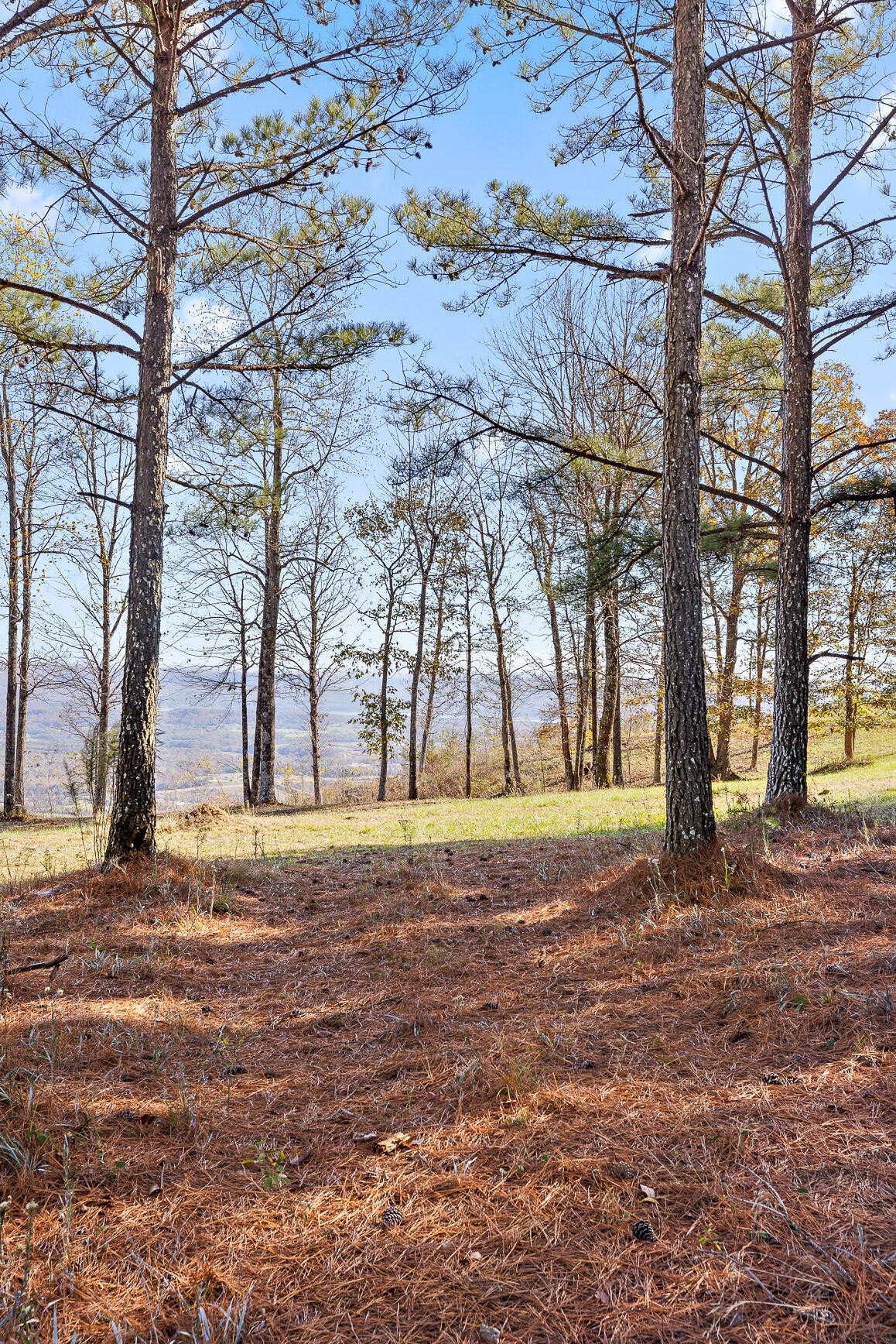 0 River Bluffs Drive Property Photo 30