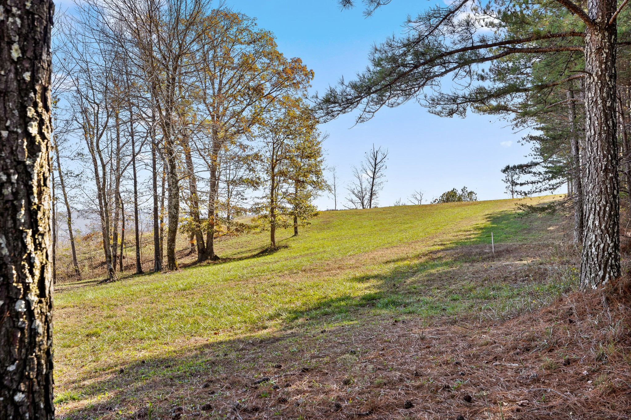 0 River Bluffs Drive Property Photo 31