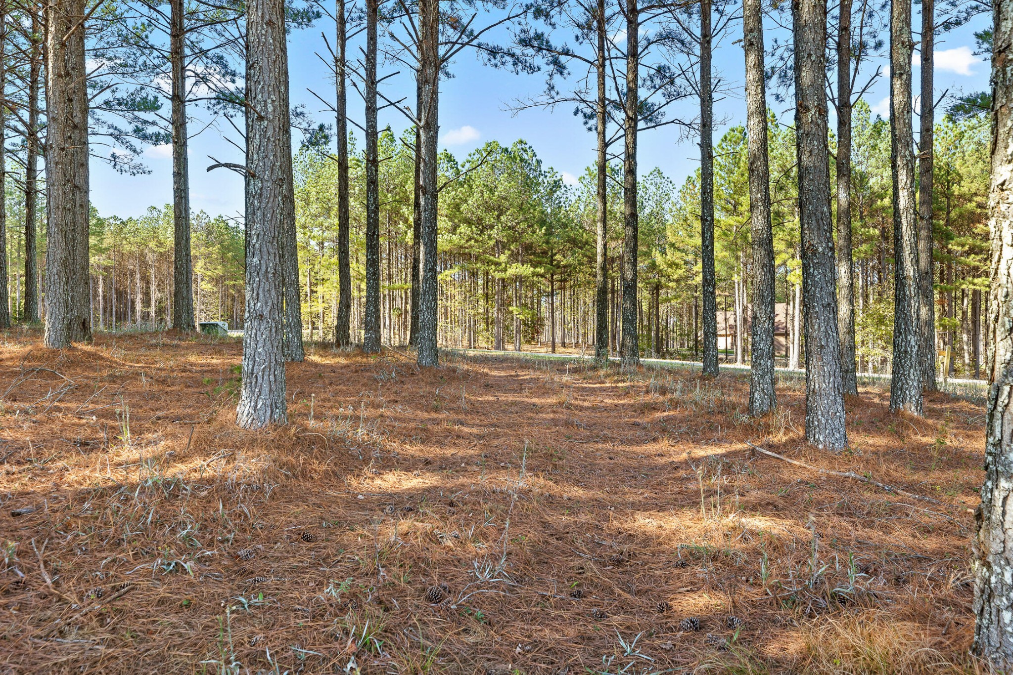 0 River Bluffs Drive Property Photo 32