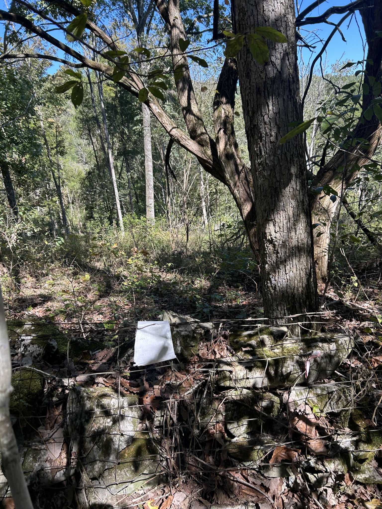 0 Ben Gentry Ln Property Photo 2