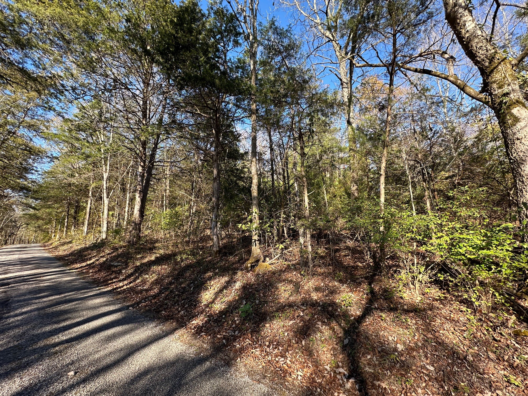 0 Ben Gentry Ln Property Photo 3