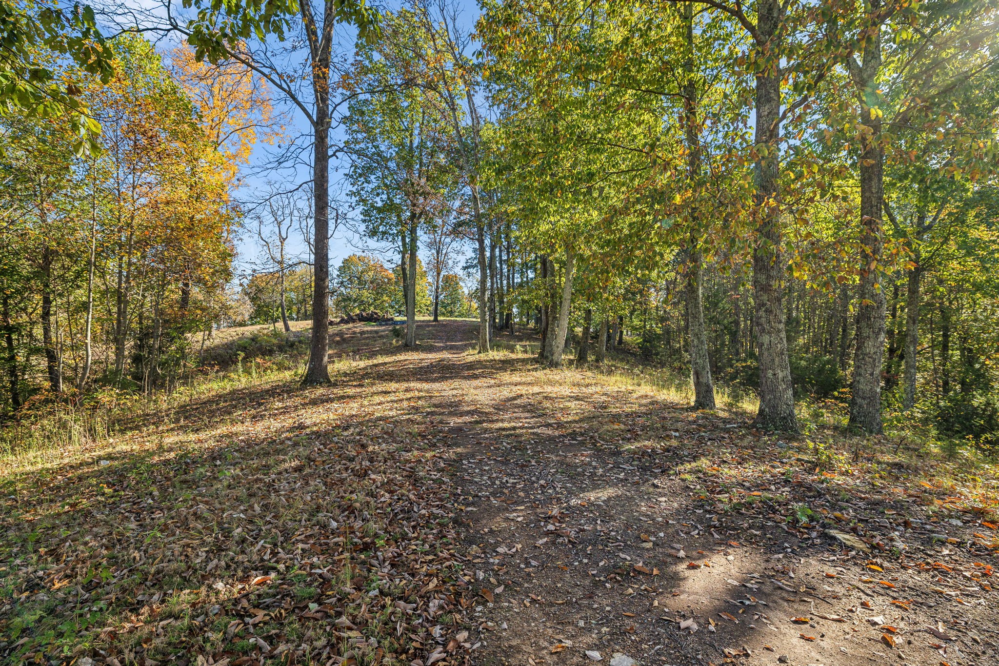 1192 Lula Ln Property Photo 16