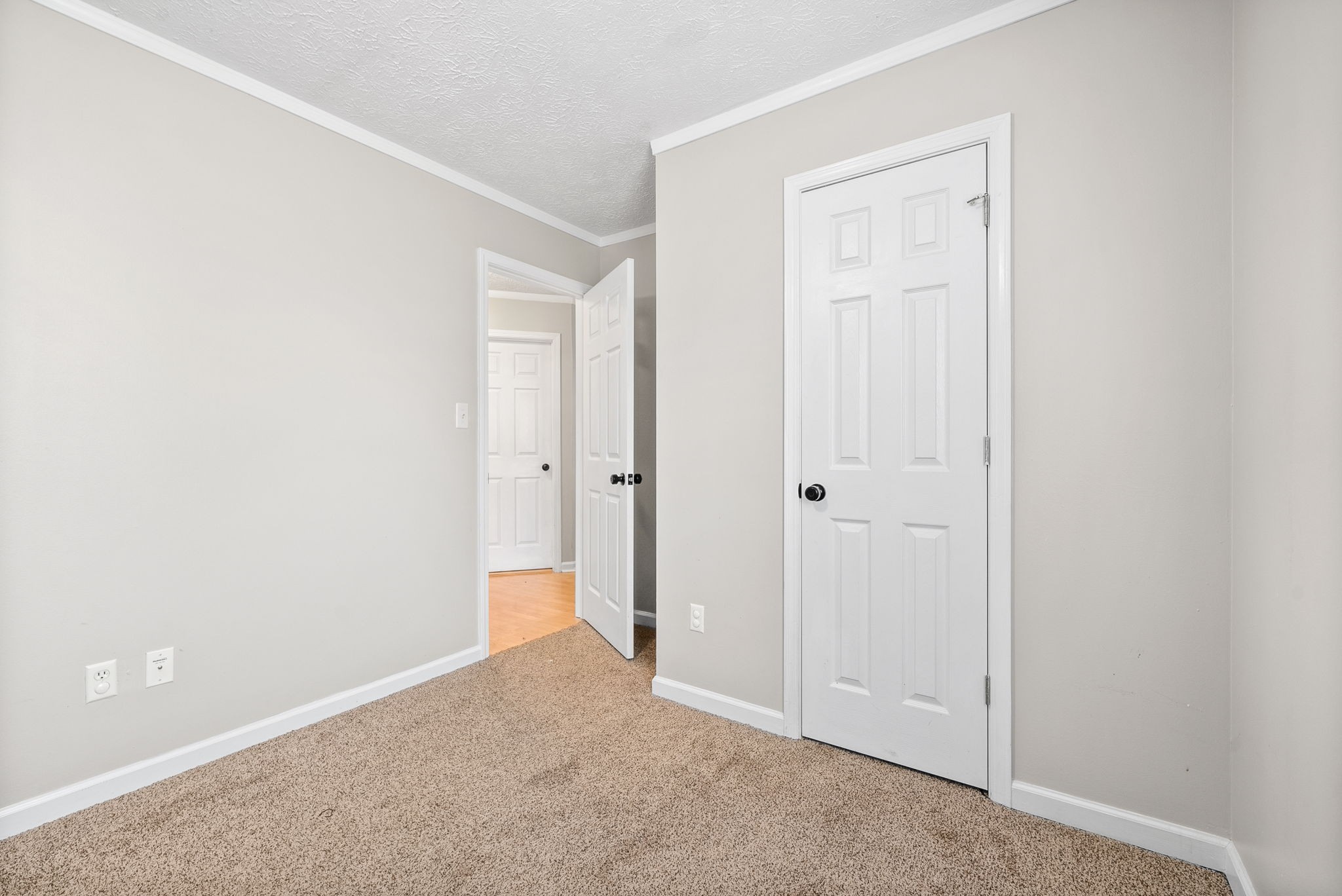 1157 Schatten St Property Photo 22