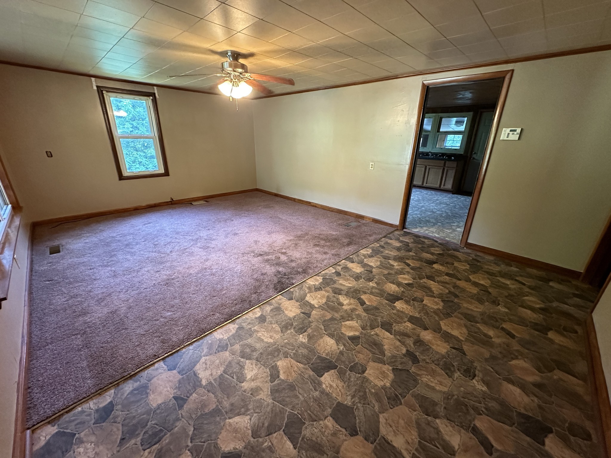 109 George Rd Property Photo 23
