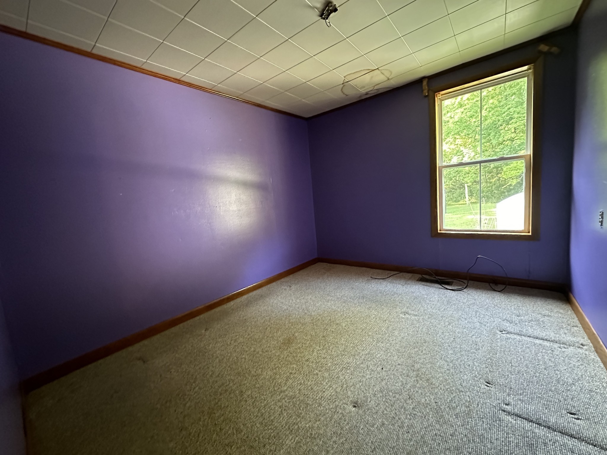 109 George Rd Property Photo 29