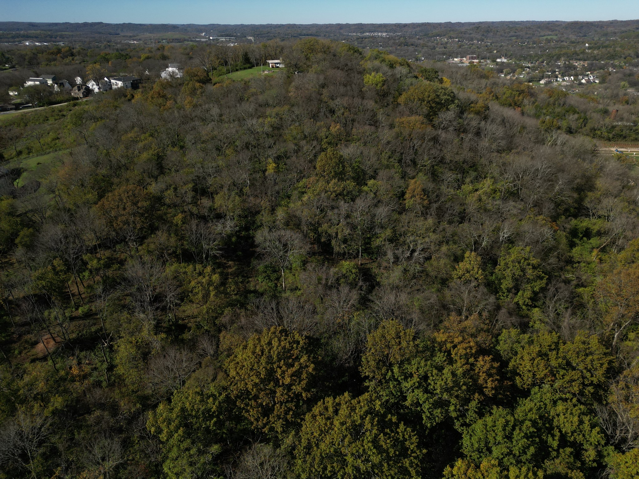 2433 Buena Vista Pike Property Photo 10