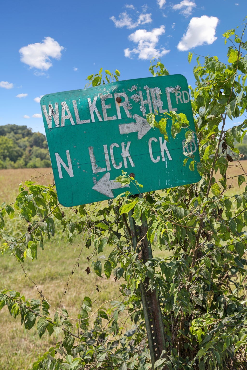 4 N Lick Creek Rd Property Photo 5
