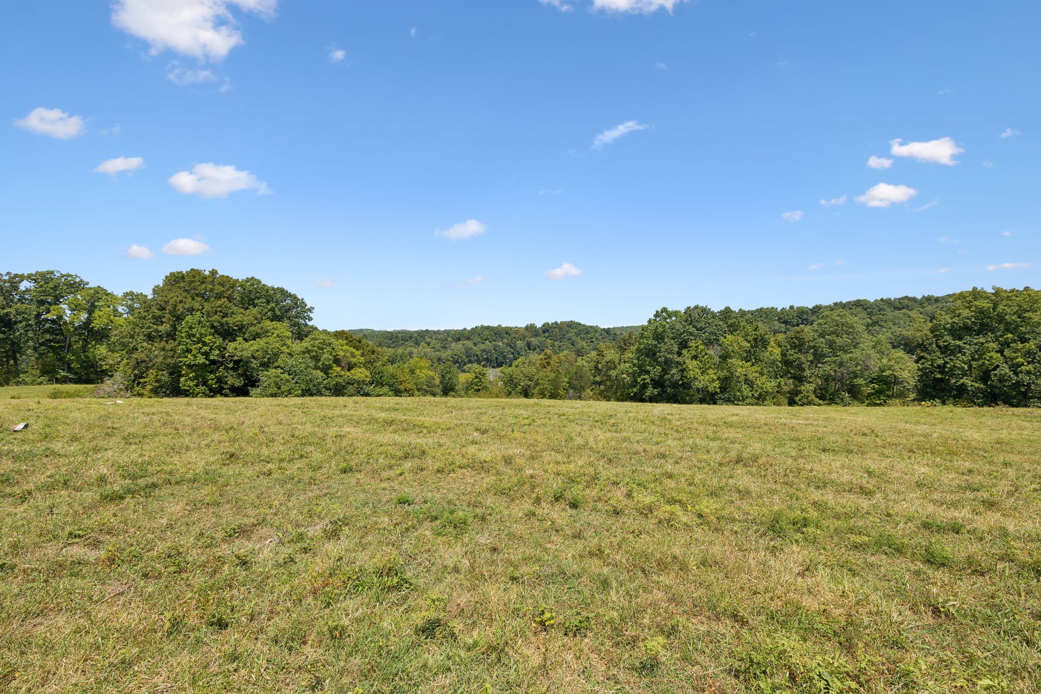 4 N Lick Creek Rd Property Photo 6