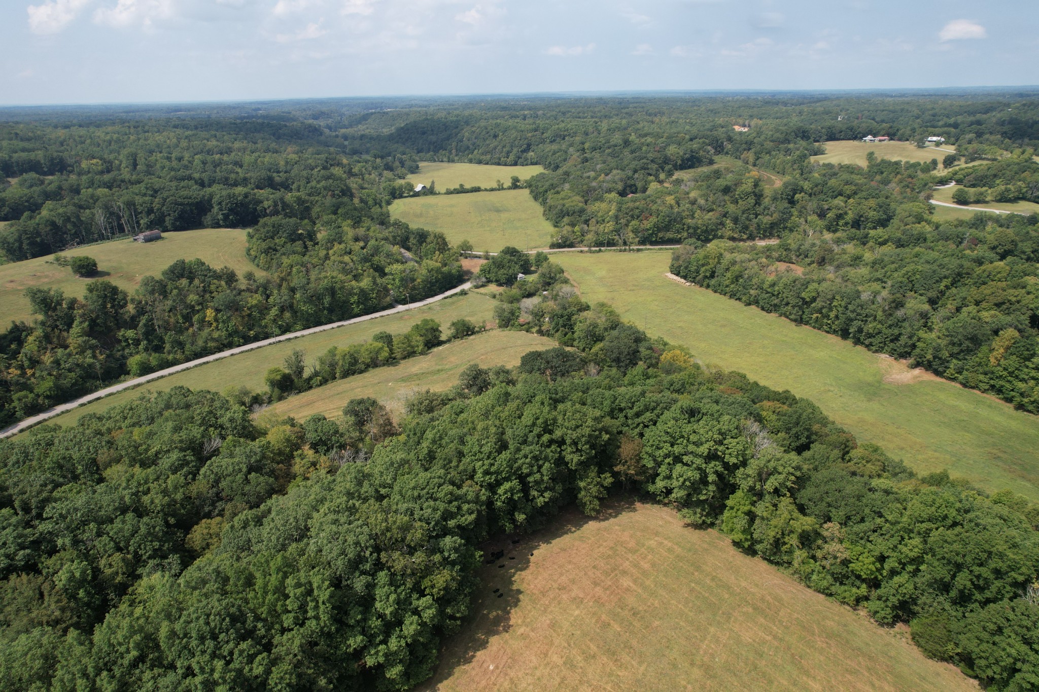 4 N Lick Creek Rd Property Photo 12